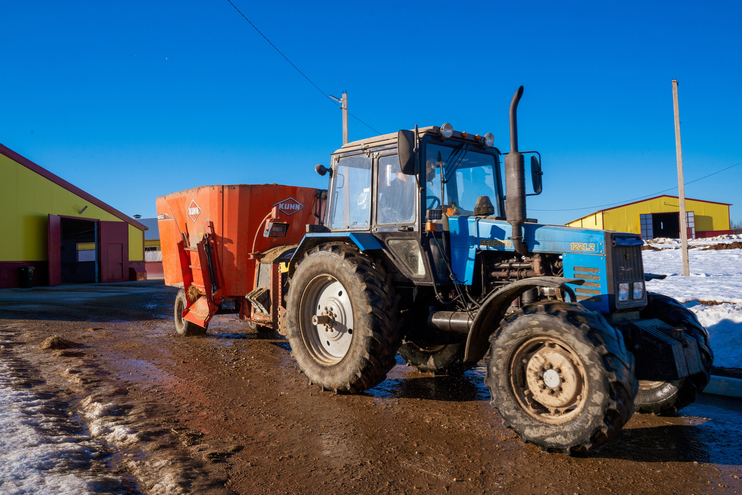 Фотосессия на молочной ферме «Белгранкорм» (г. Великий Новгород, 2022