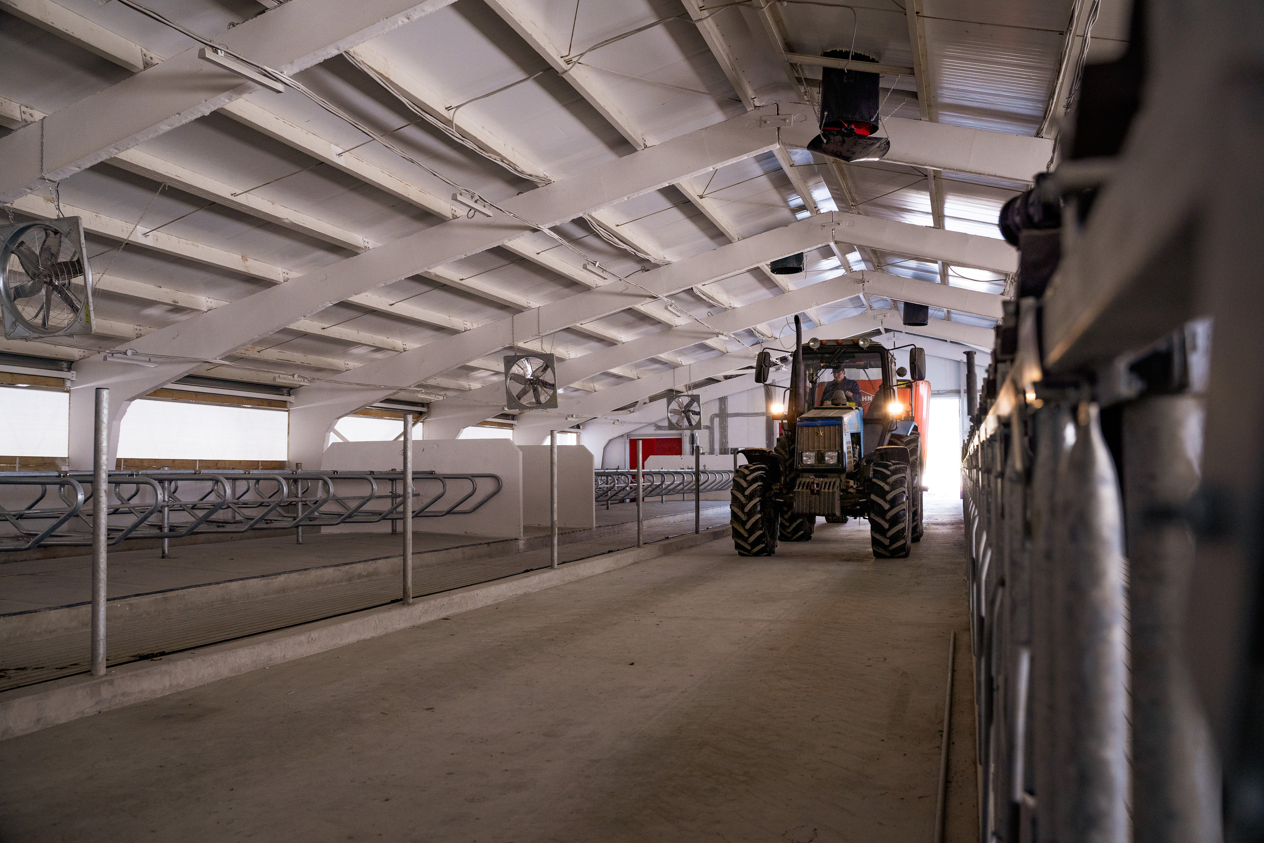 Фотосессия на молочной ферме «Белгранкорм» (г. Великий Новгород, 2022