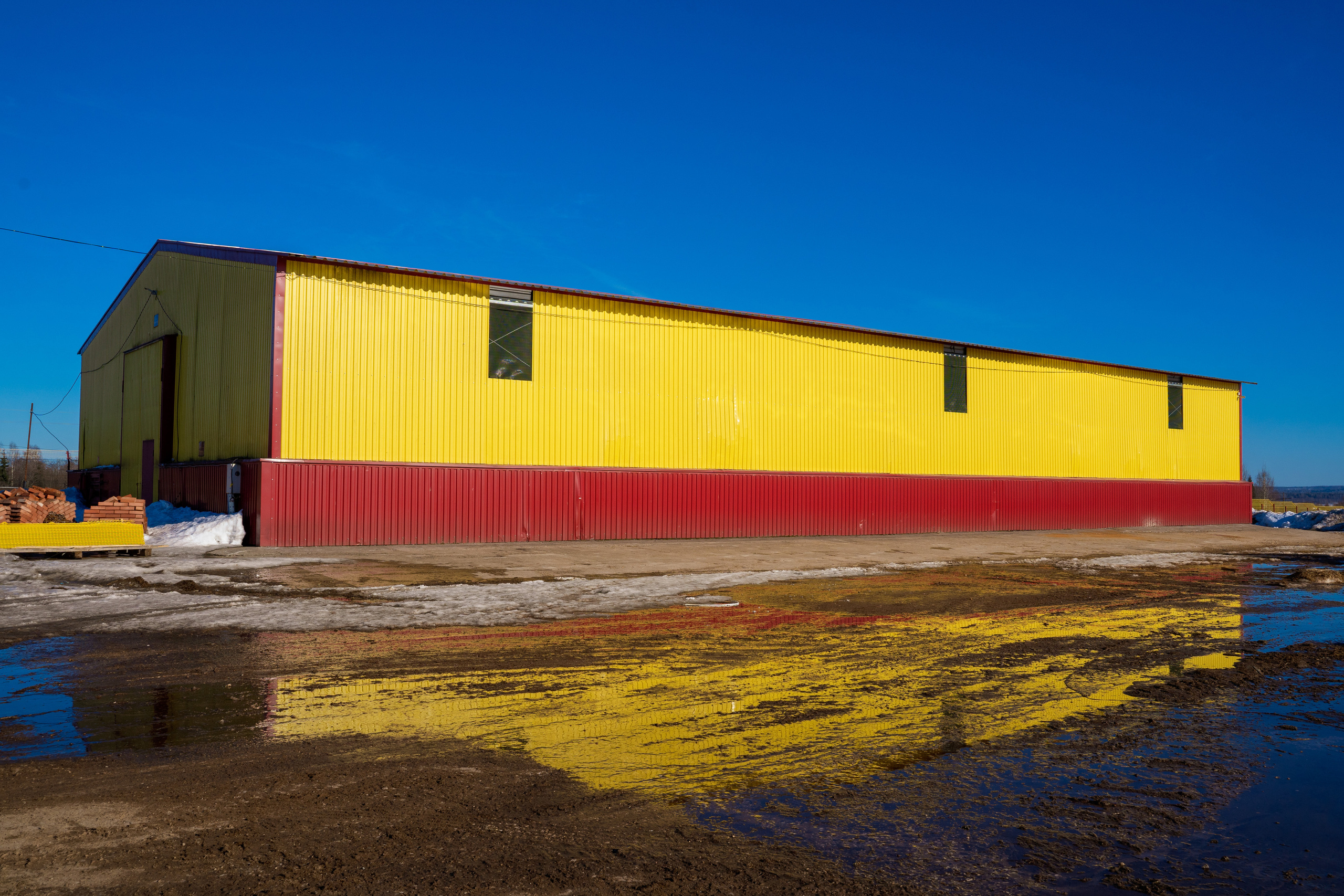 Фотосессия на молочной ферме «Белгранкорм» (г. Великий Новгород, 2022