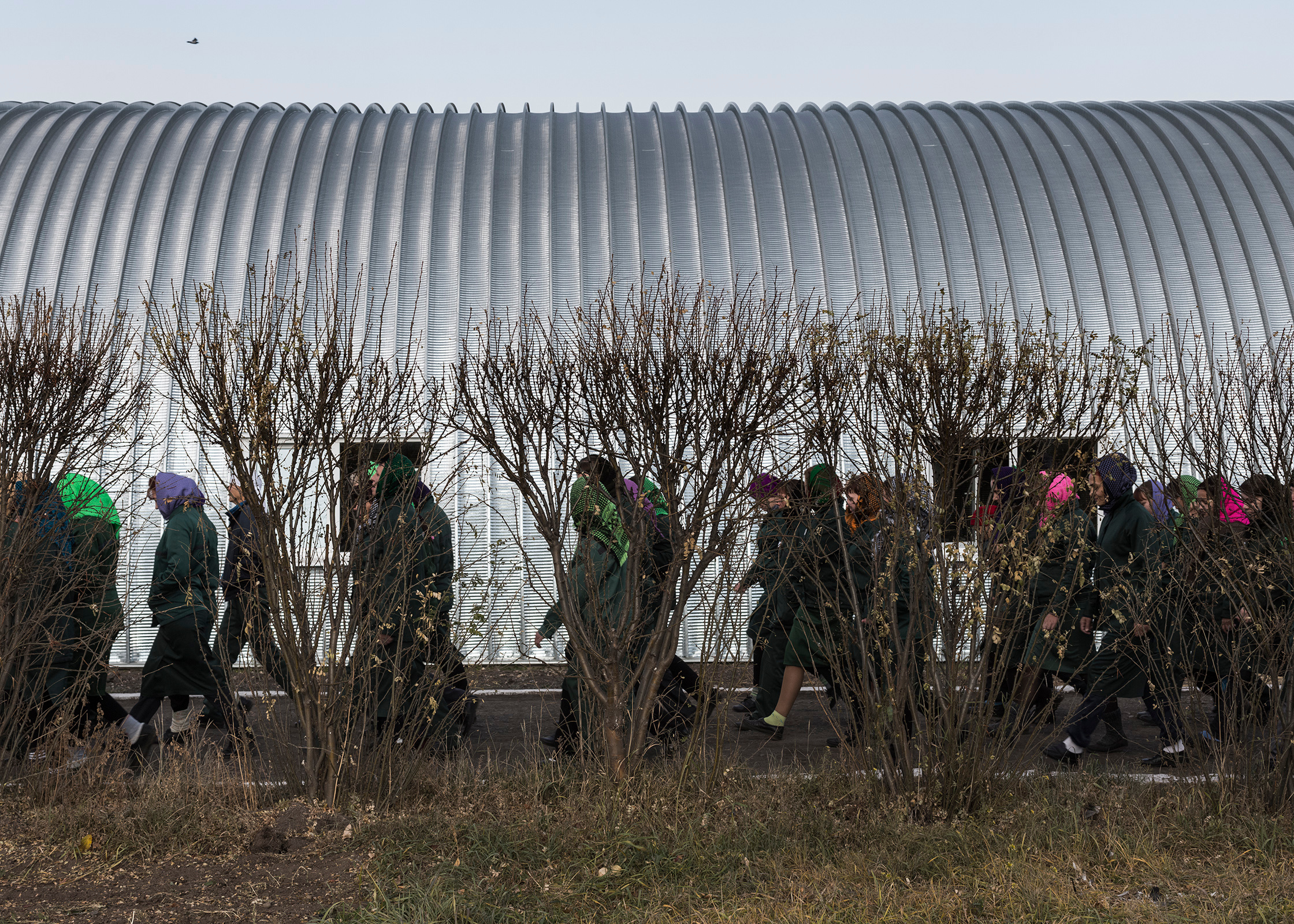 ◽ SECTION / photo, book. Elena Anosova is an award-winning visual artist