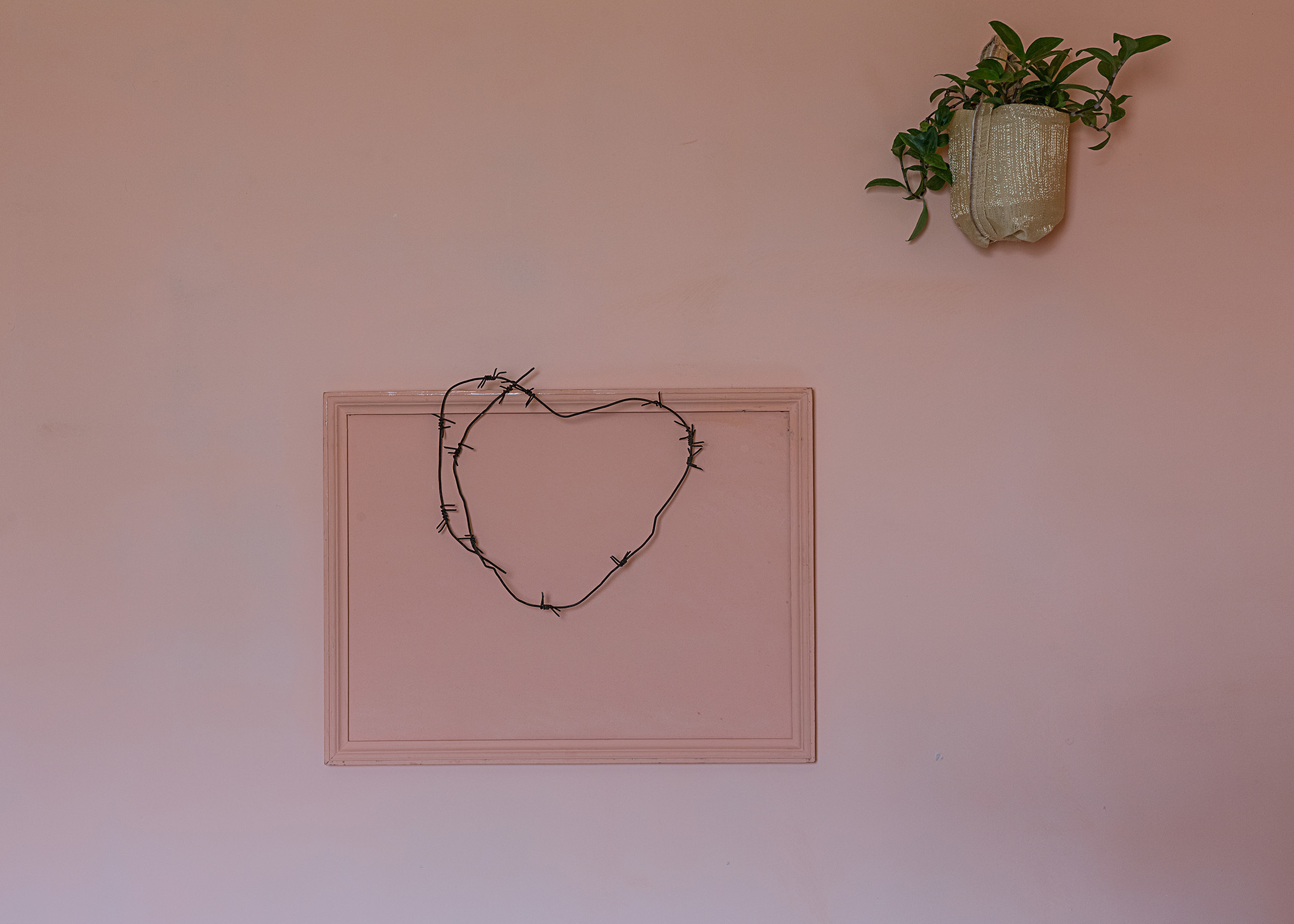 ◽ SECTION / photo, book. Elena Anosova is an award-winning visual artist