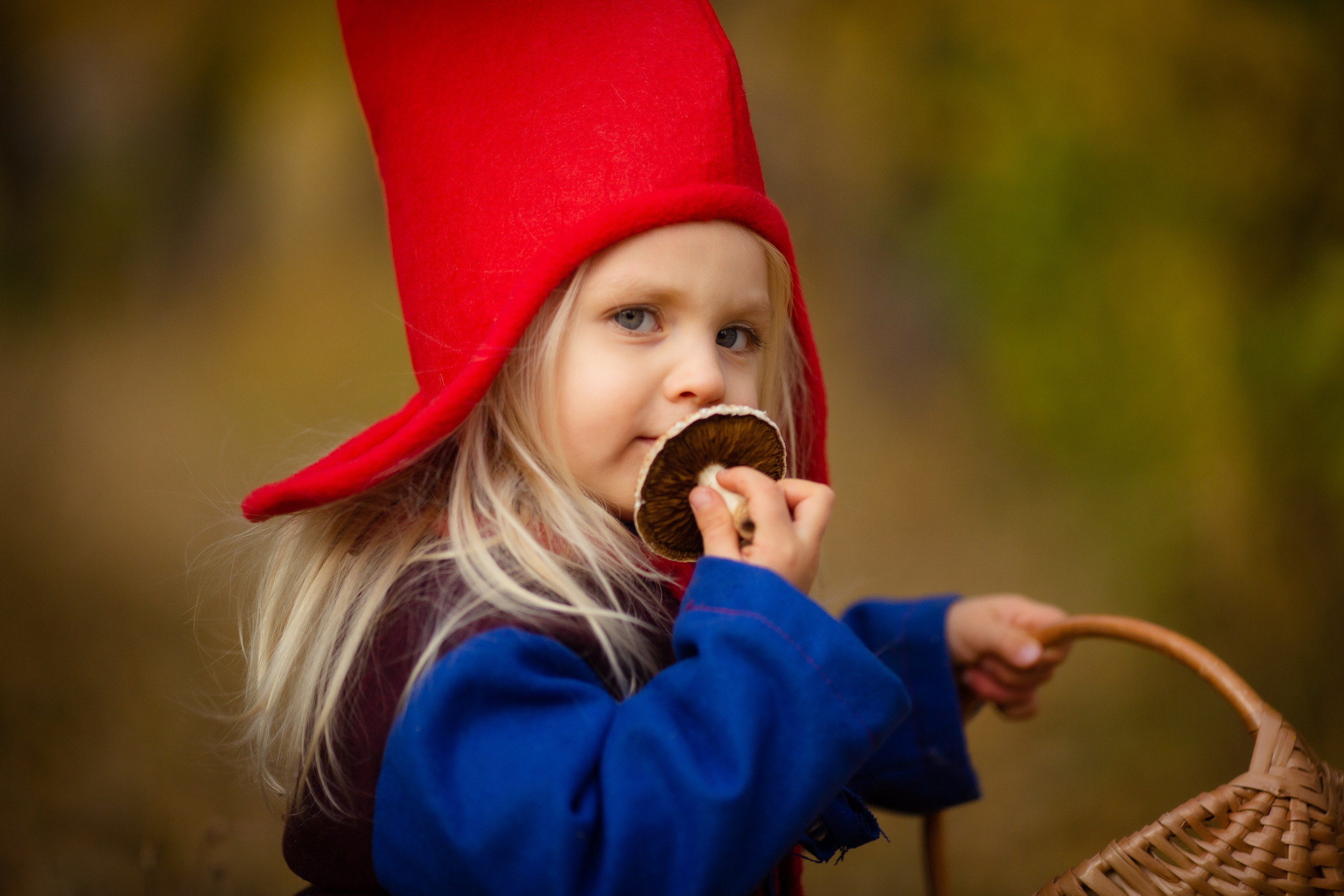 Лесные гномы