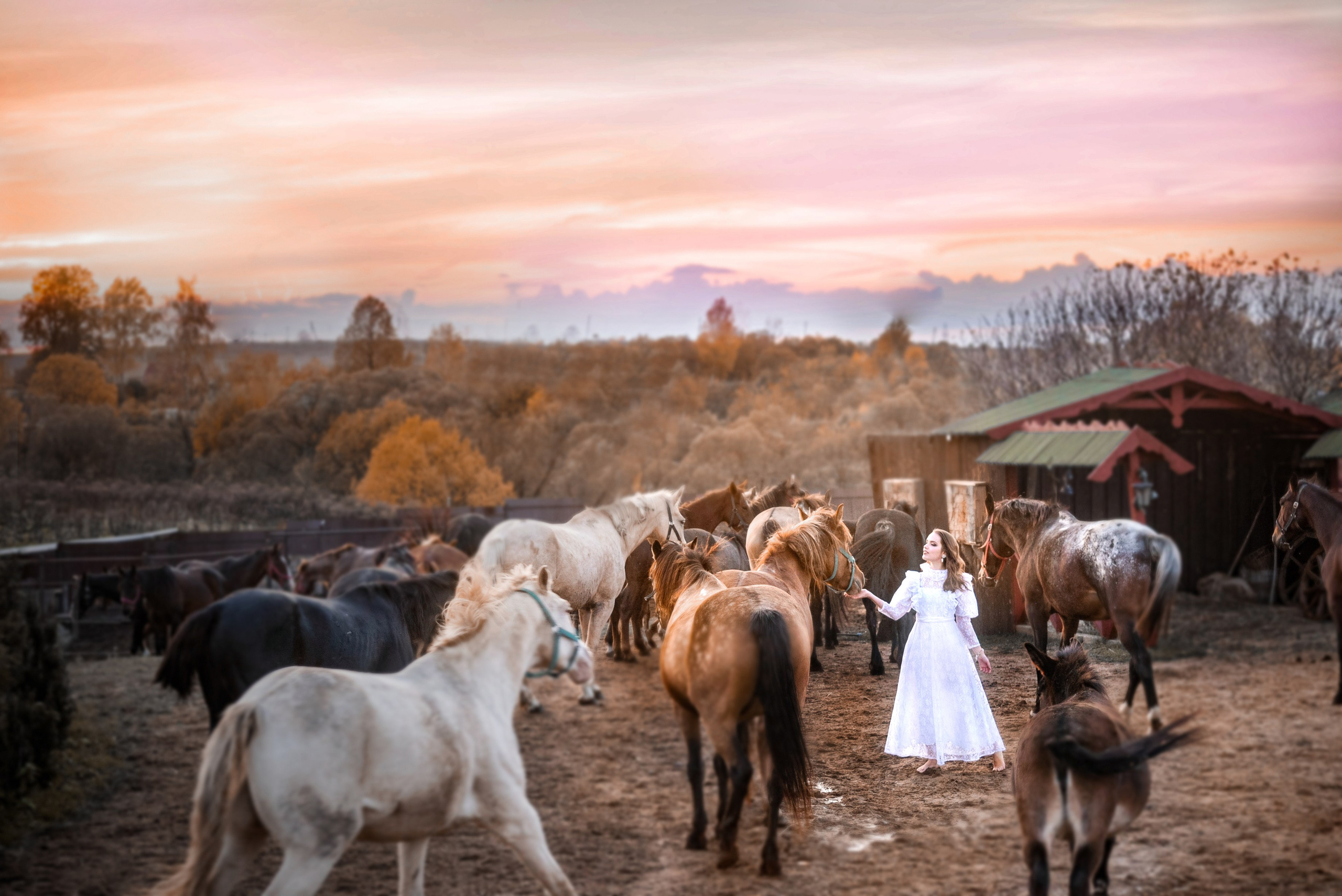 Арт-проекты. Создание ИИ контента, фотосессии, инфографика в Москве