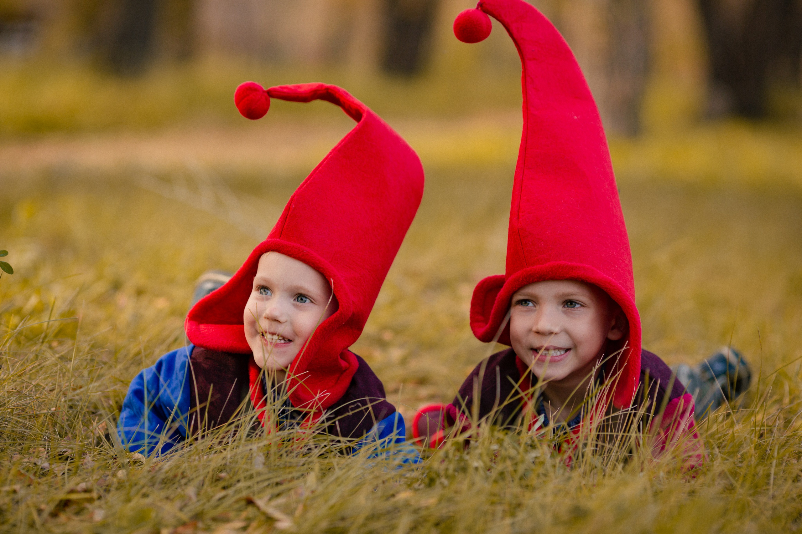 Лесные гномы