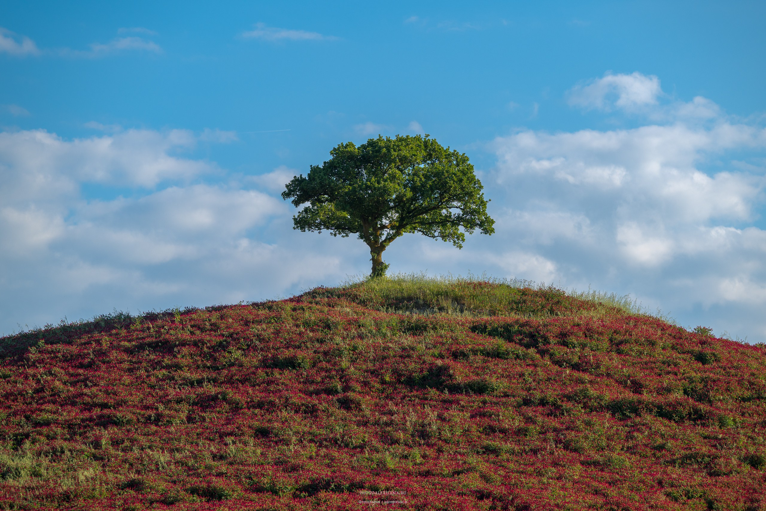 Долина Крете Сенези (Crete Senesi). Авторские стильные фотокартины