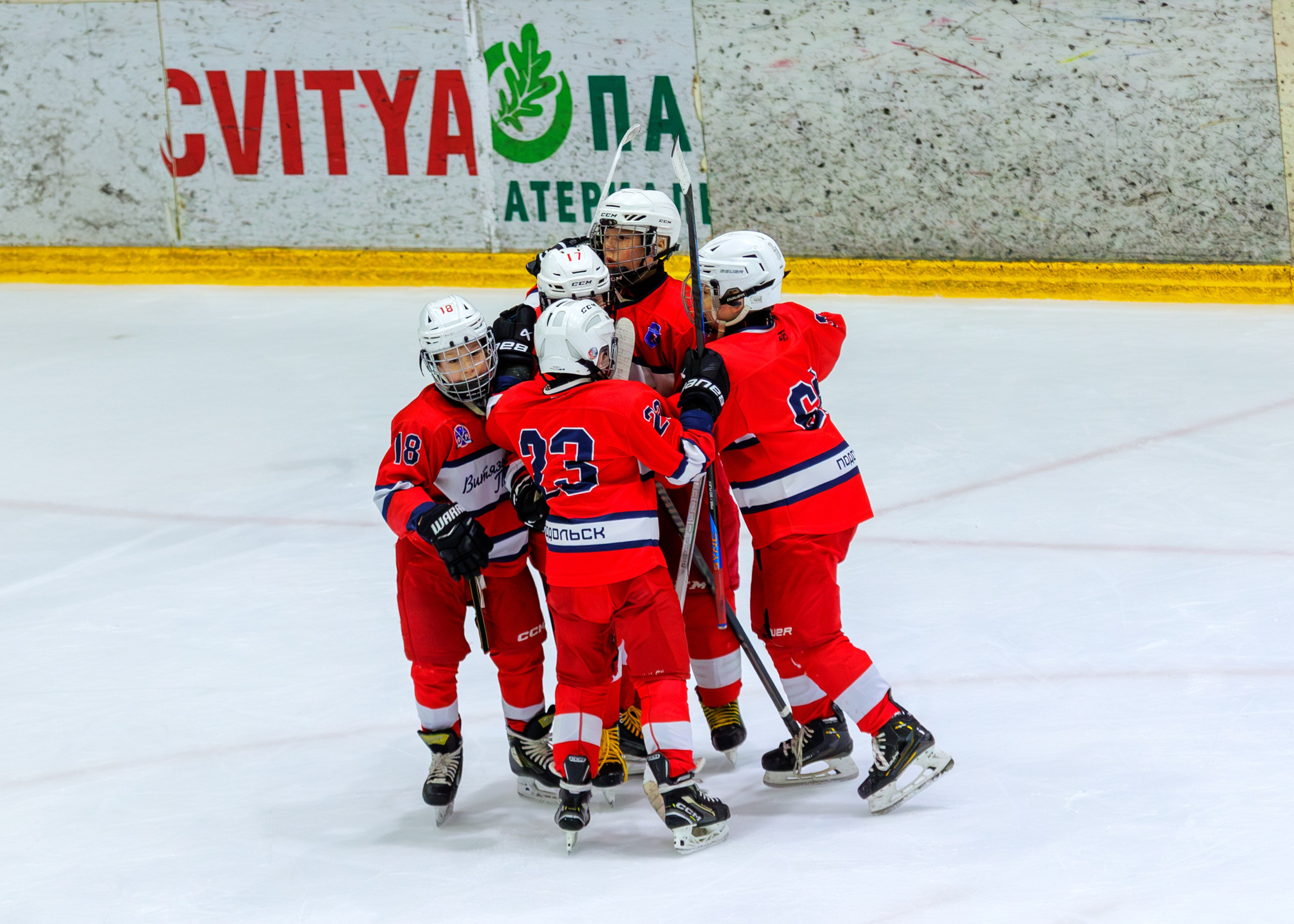 СШОР Витязь Подольск