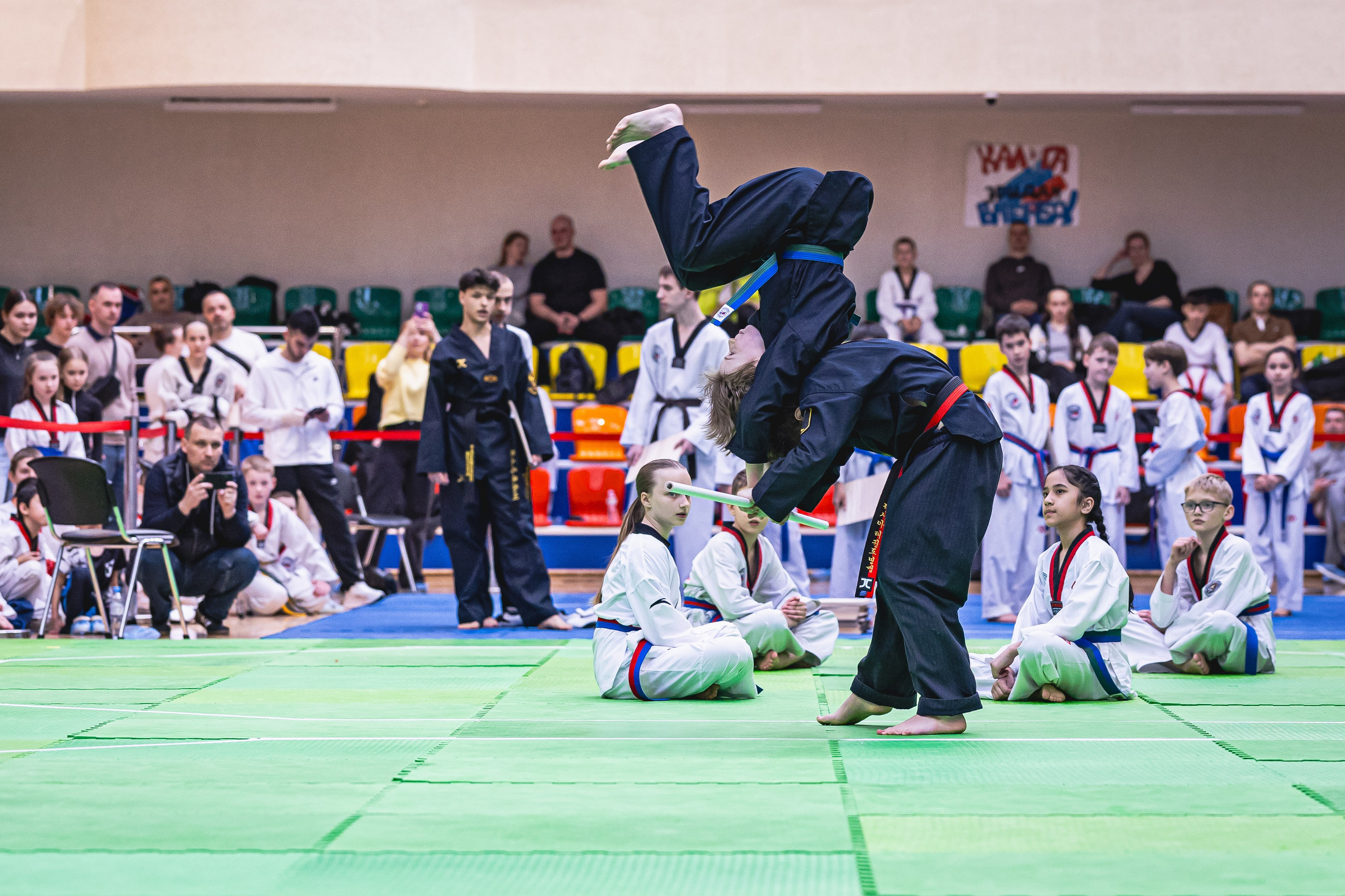 Турнир ВДЮФСОО «ФЕДЕРАЦИЯ ДЕТСКОГО ТХЭКВОНДО РОССИИ» и МОО СПКЕ «ЭРИДАН» по «СПОРТИВНОМУ БОЮ КЕРУГИ». Спортивный фотограф Максим Серегин