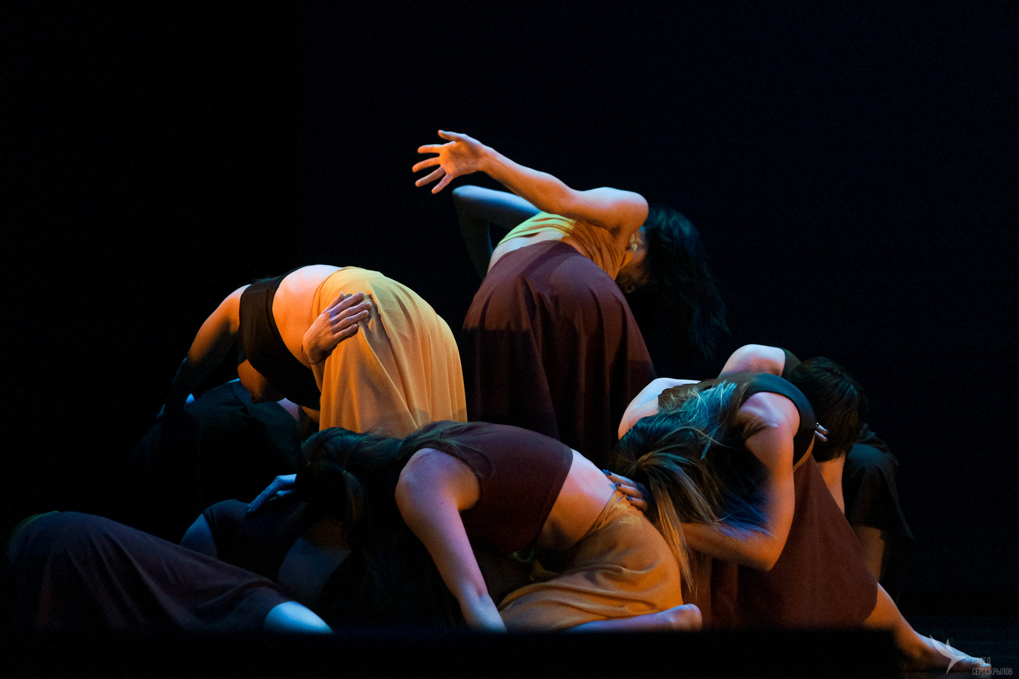 IV Всероссийский фестиваль-конкурс хореографического искусства «Пантер. Репортажный фотограф в Казани Павел Серпокрылов
