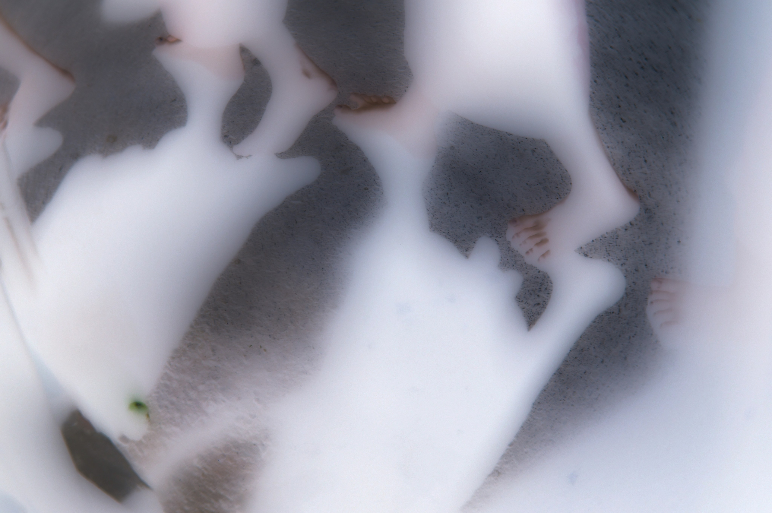 ФОТОГРАФИЯ. CONTEMPORARY ARTIST OLGA ANDRIYASH