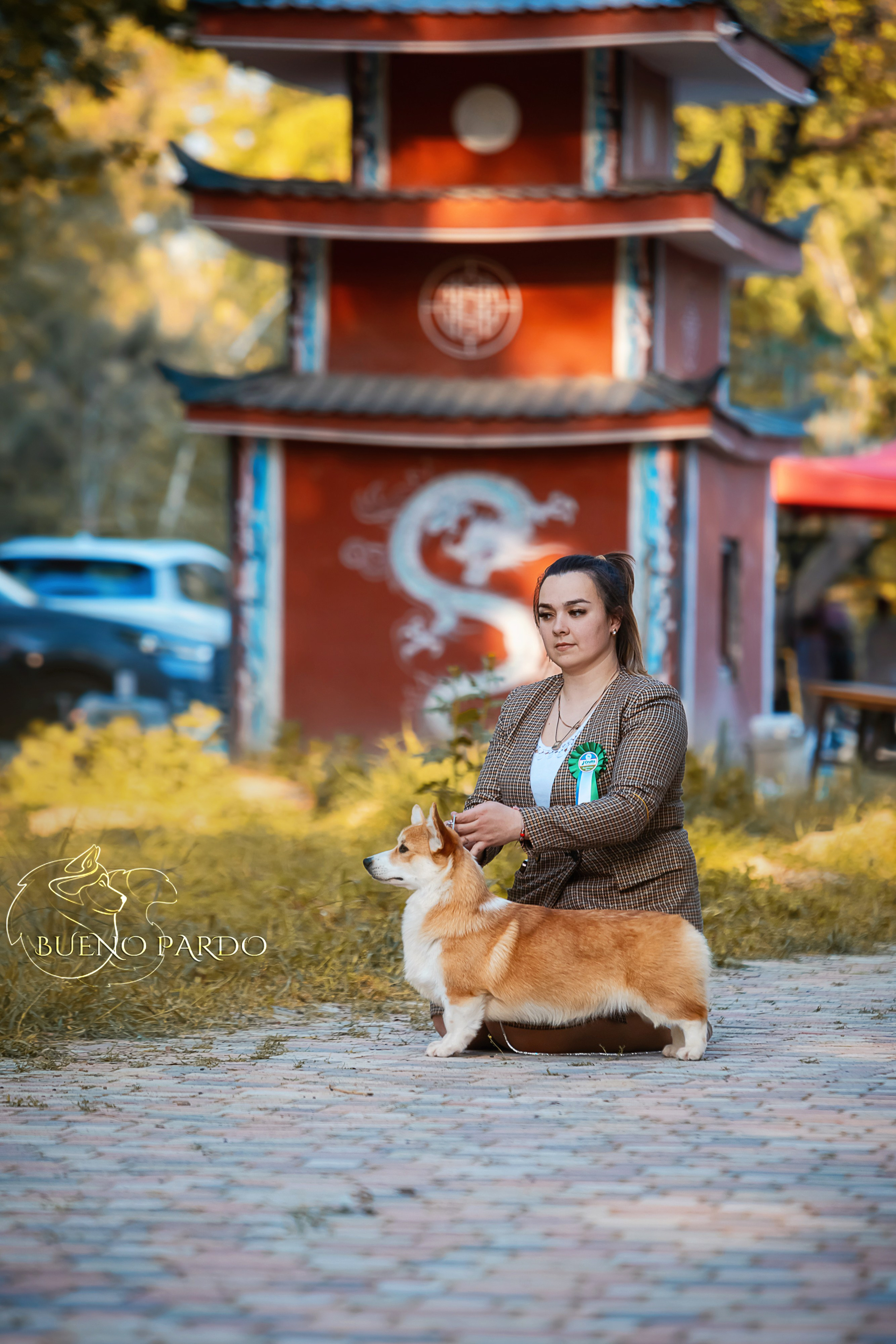 Собаки питомника Bueno Pardo. Питомник собак Акита, Хаски, Корги