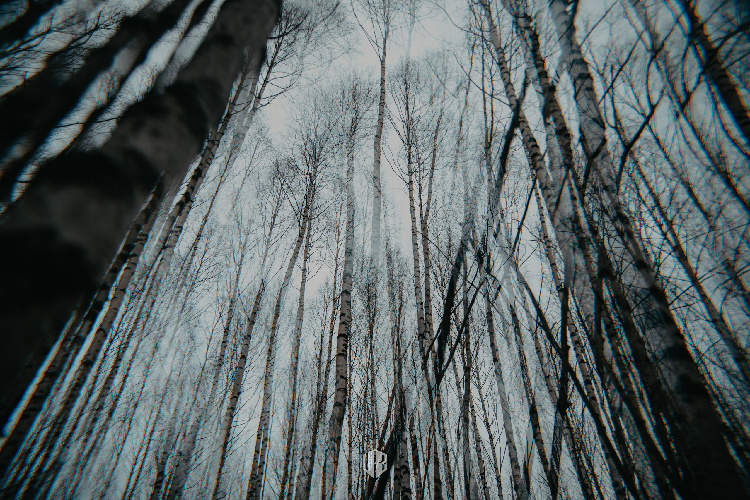 «Затерянное Вятки». Путь на «поющие пески». Контент фотограф Илья Урс