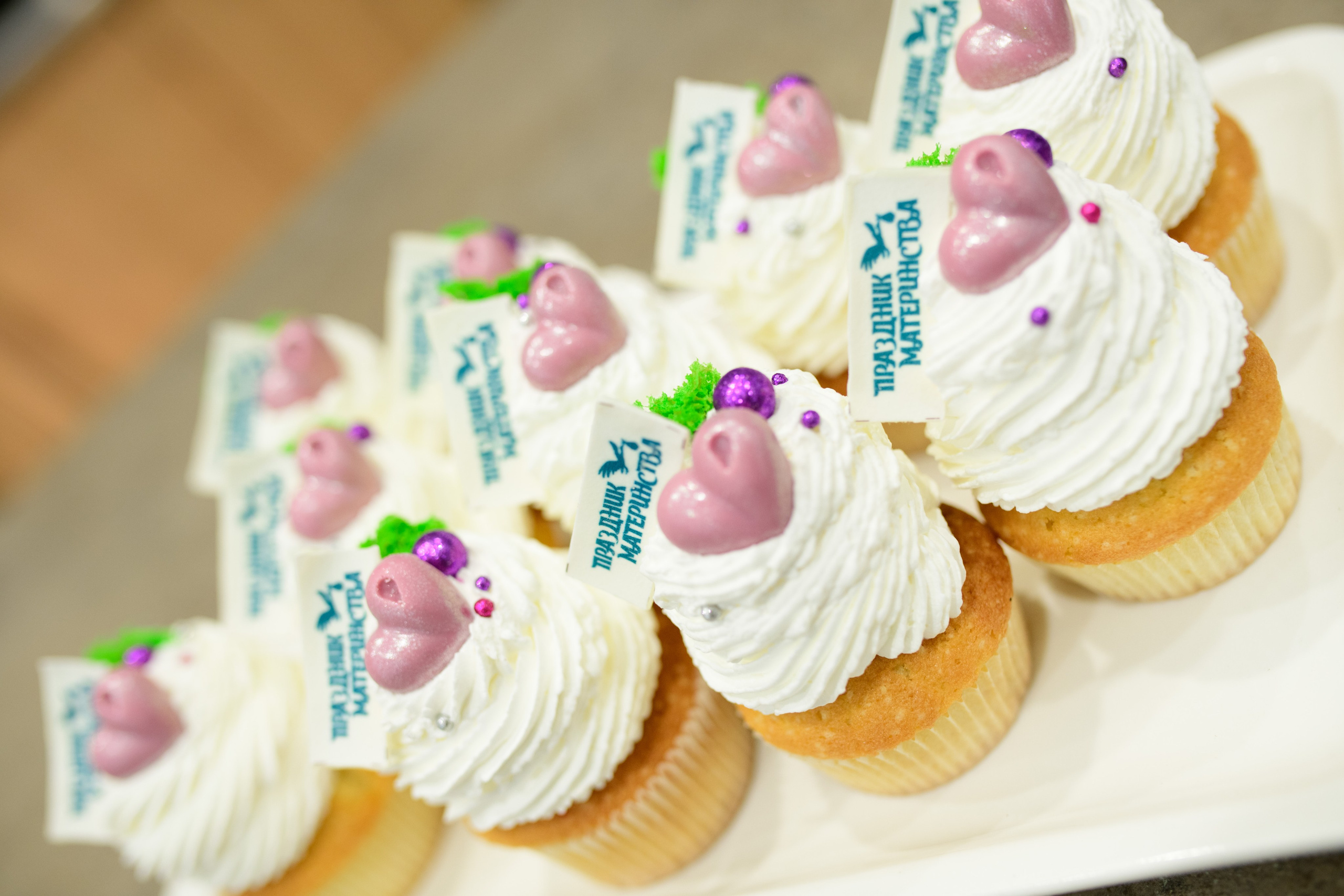 Фотоотчет праздника материнства ноябрь 2024 г. Профессиональный фотограф Елена Красилина г.Ярославль, г. Рыбинск