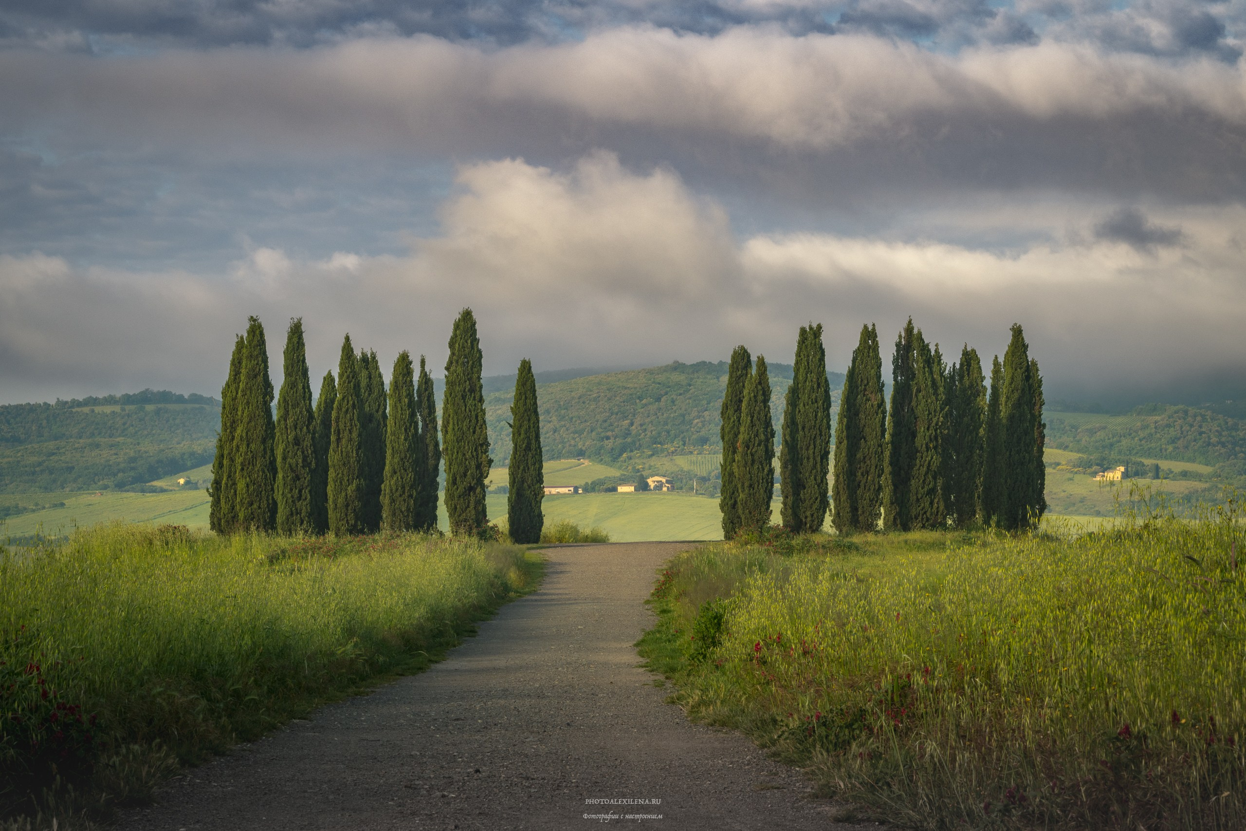 Путешествие сквозь красоту и вдохновение. Авторские стильные фотокартины