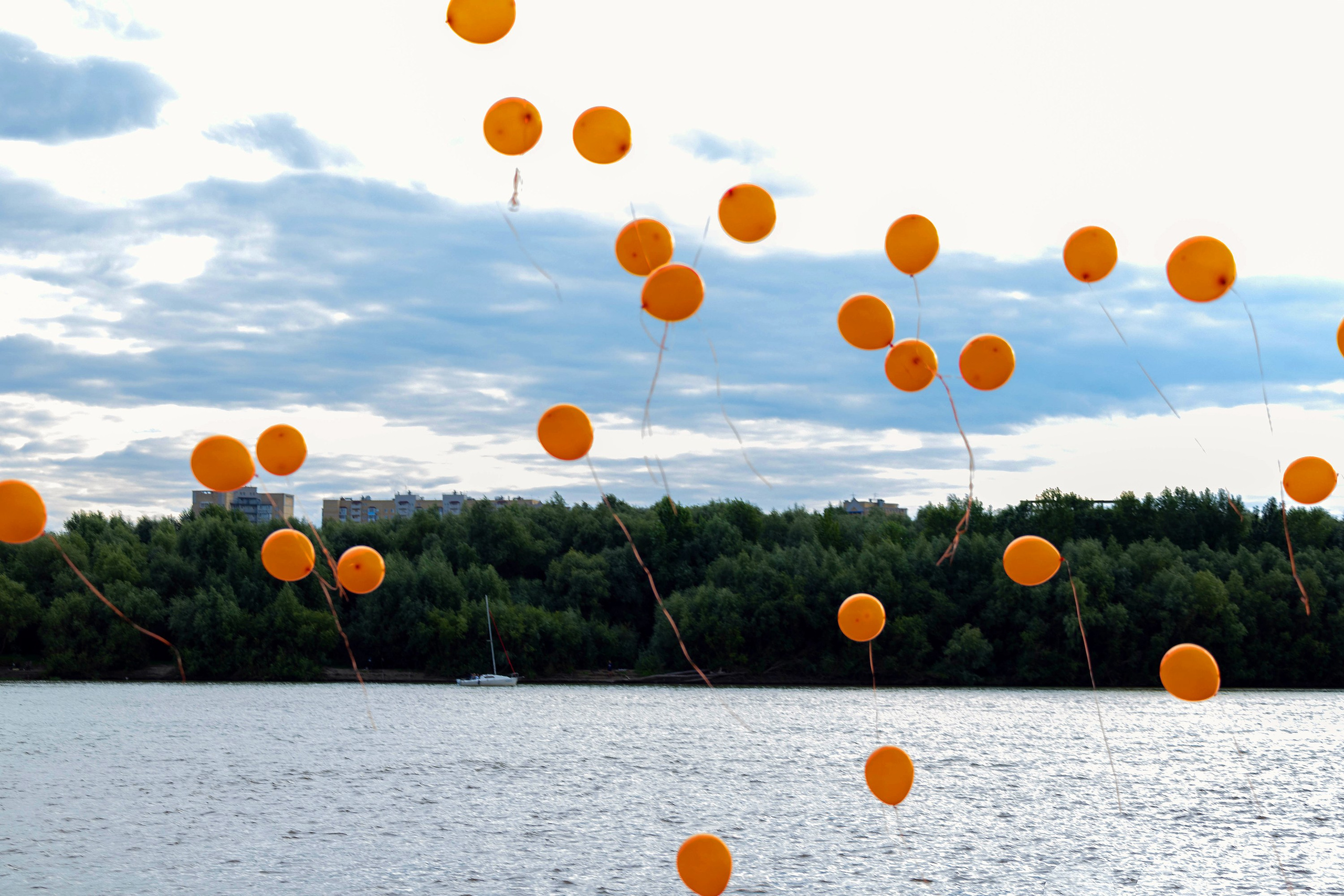 Корги-туса. Фотограф-анималист в Омске Екатерина Маричева