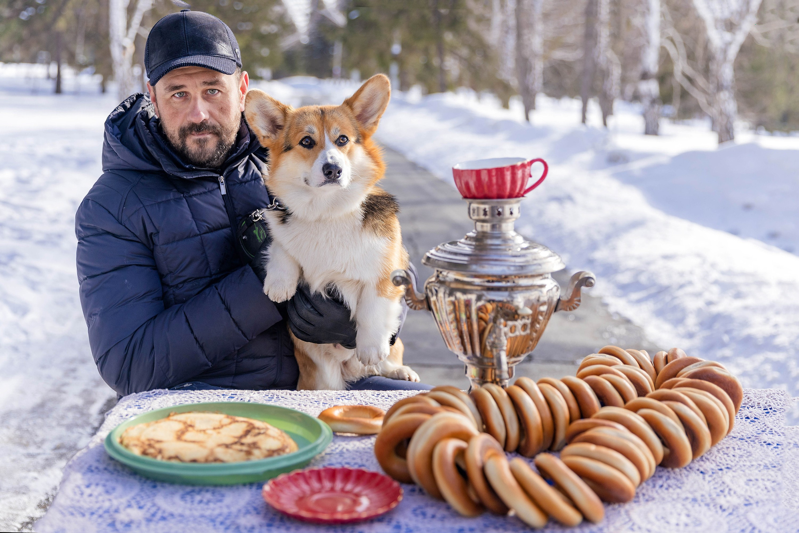 Корги-туса. Фотограф-анималист в Омске Екатерина Маричева