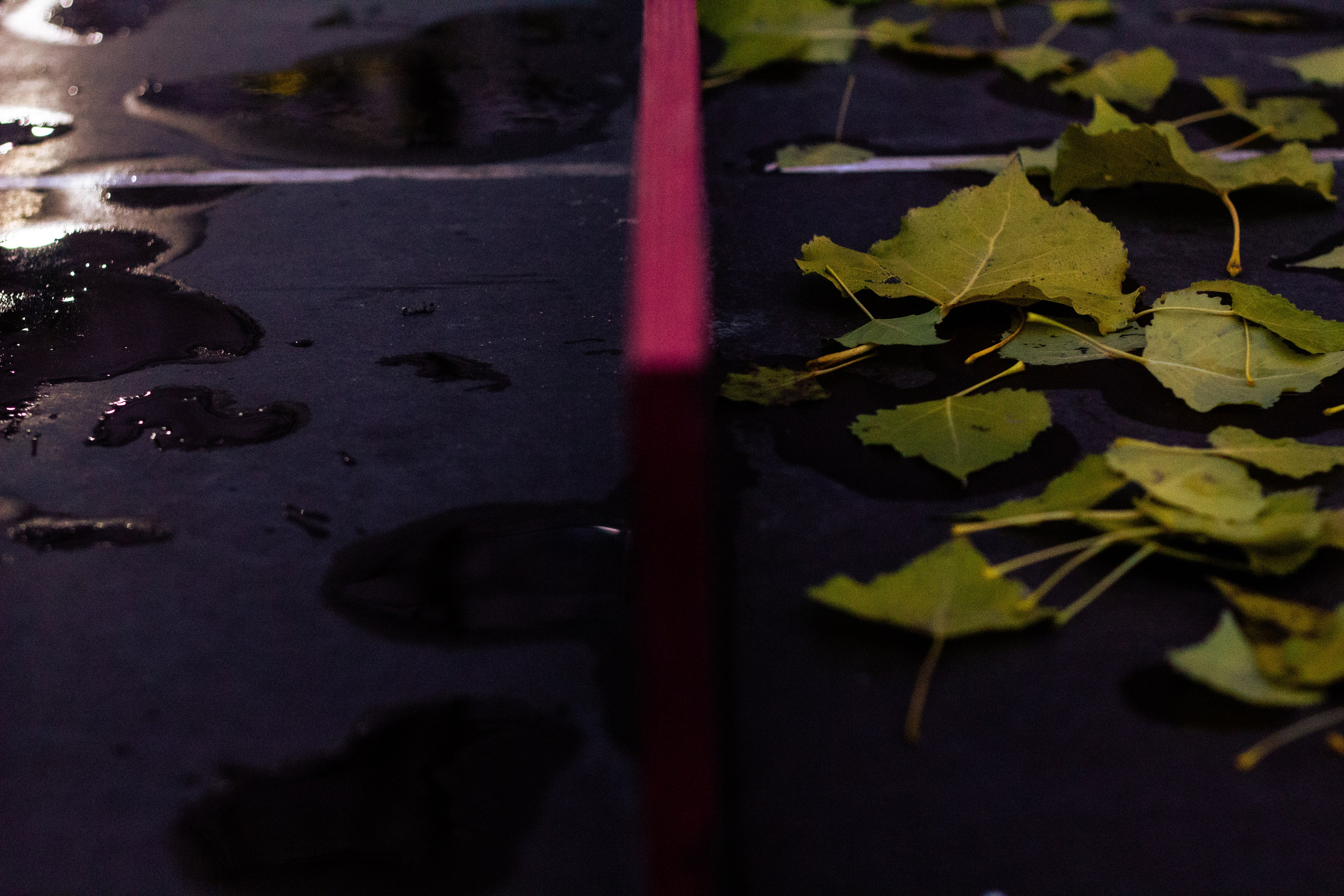 Осень в Москве. Фотограф Москва, портрет, стрит, репортаж. Художественная фотосессия