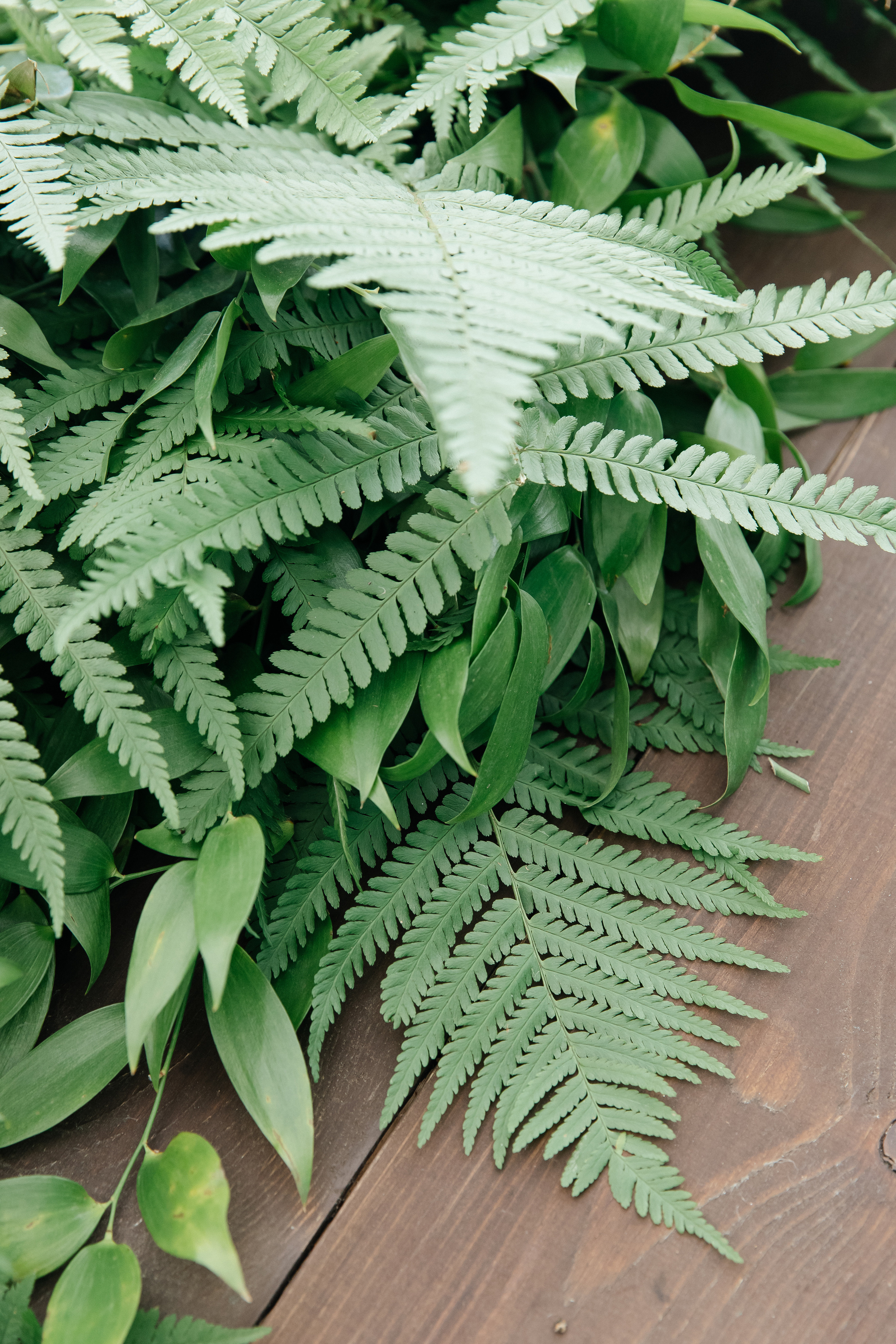 Свадьба в шатре «Лесная дача». Свадебный фотограф в Москве Элина Ларченкова. Фото, которые цепляют