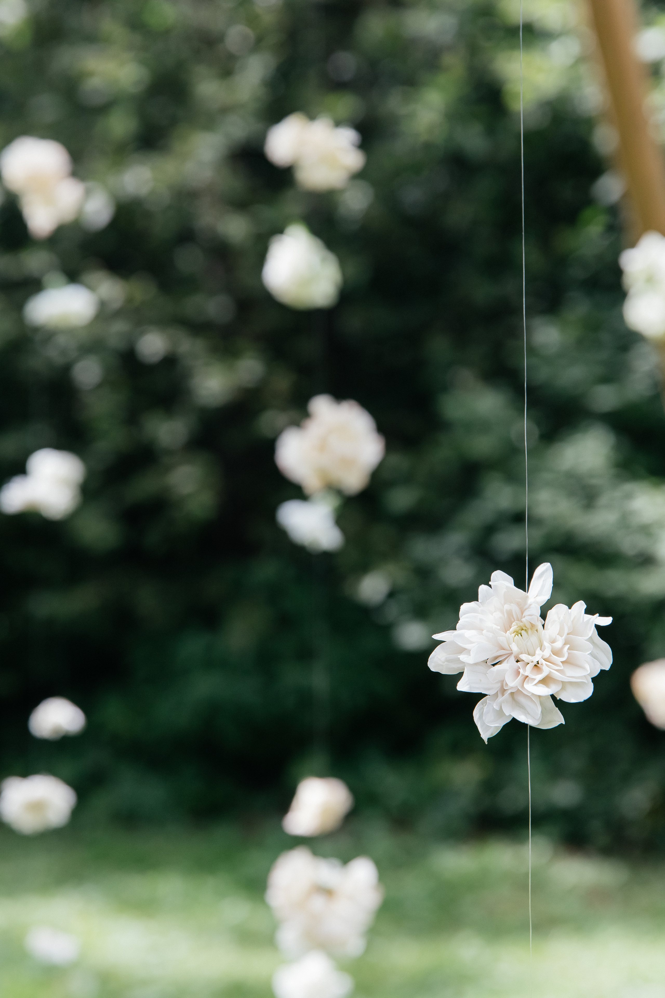 Свадьба в шатре «Лесная дача». Свадебный фотограф в Москве Элина Ларченкова. Фото, которые цепляют