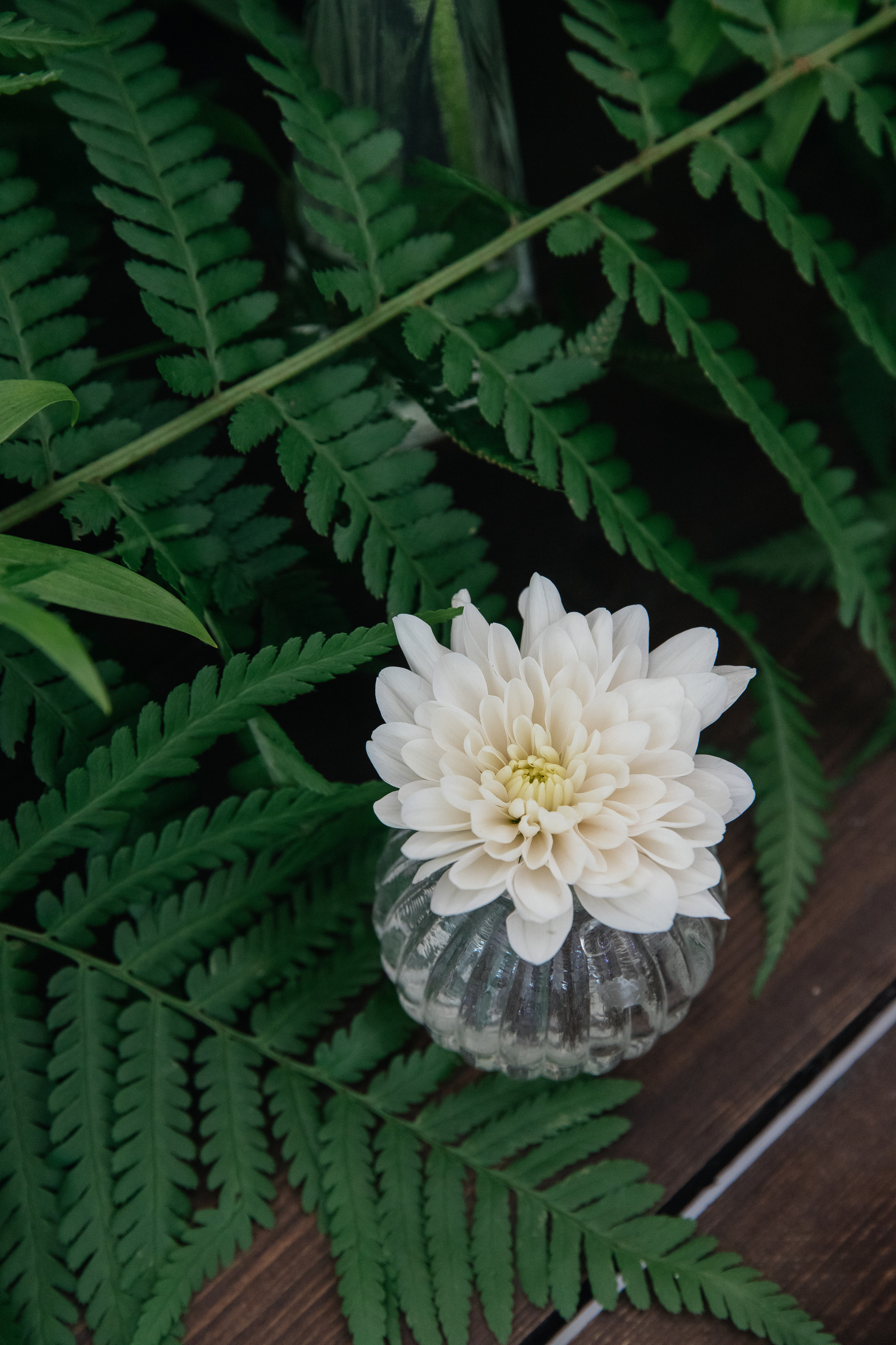 Свадьба в шатре «Лесная дача». Свадебный фотограф в Москве Элина Ларченкова. Фото, которые цепляют