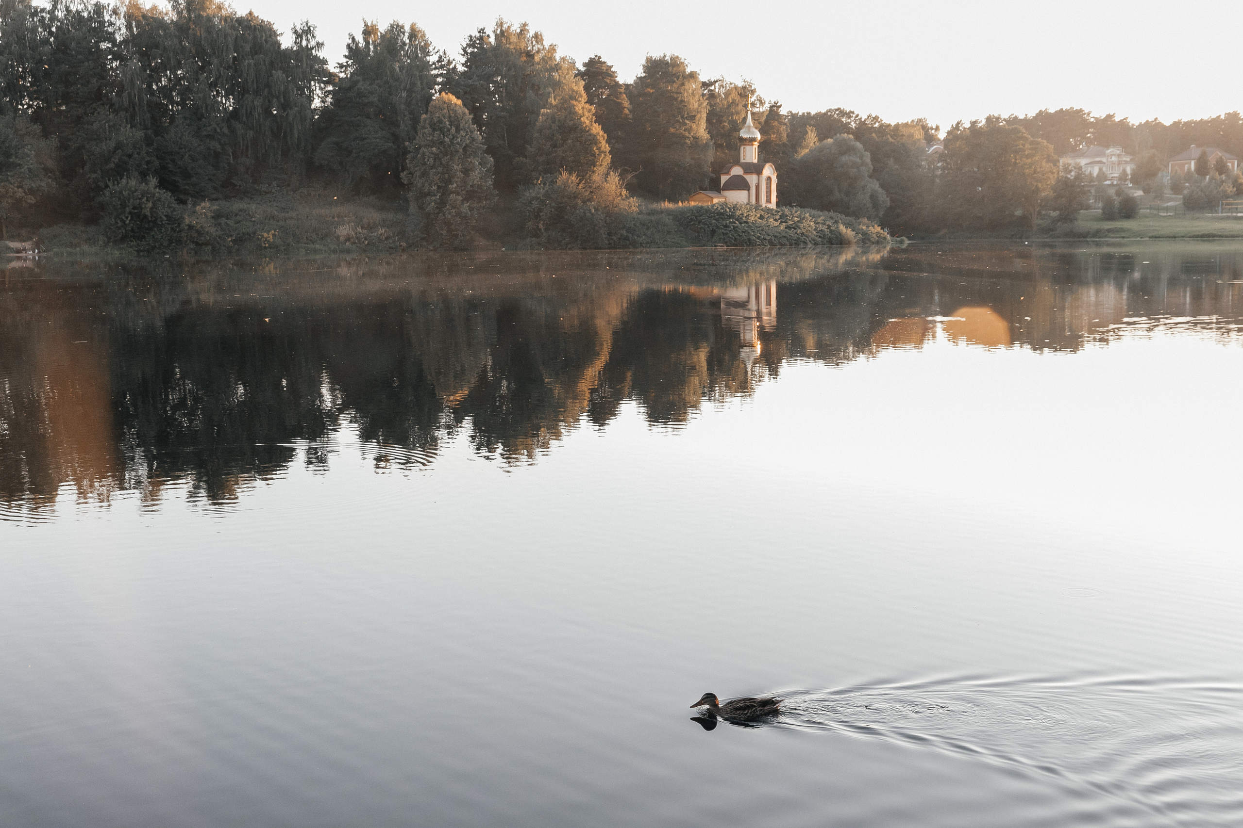Свадебная фотосессия в усадьбе Суханово. Свадебный фотограф в Москве Элина Ларченкова. Фото, которые цепляют