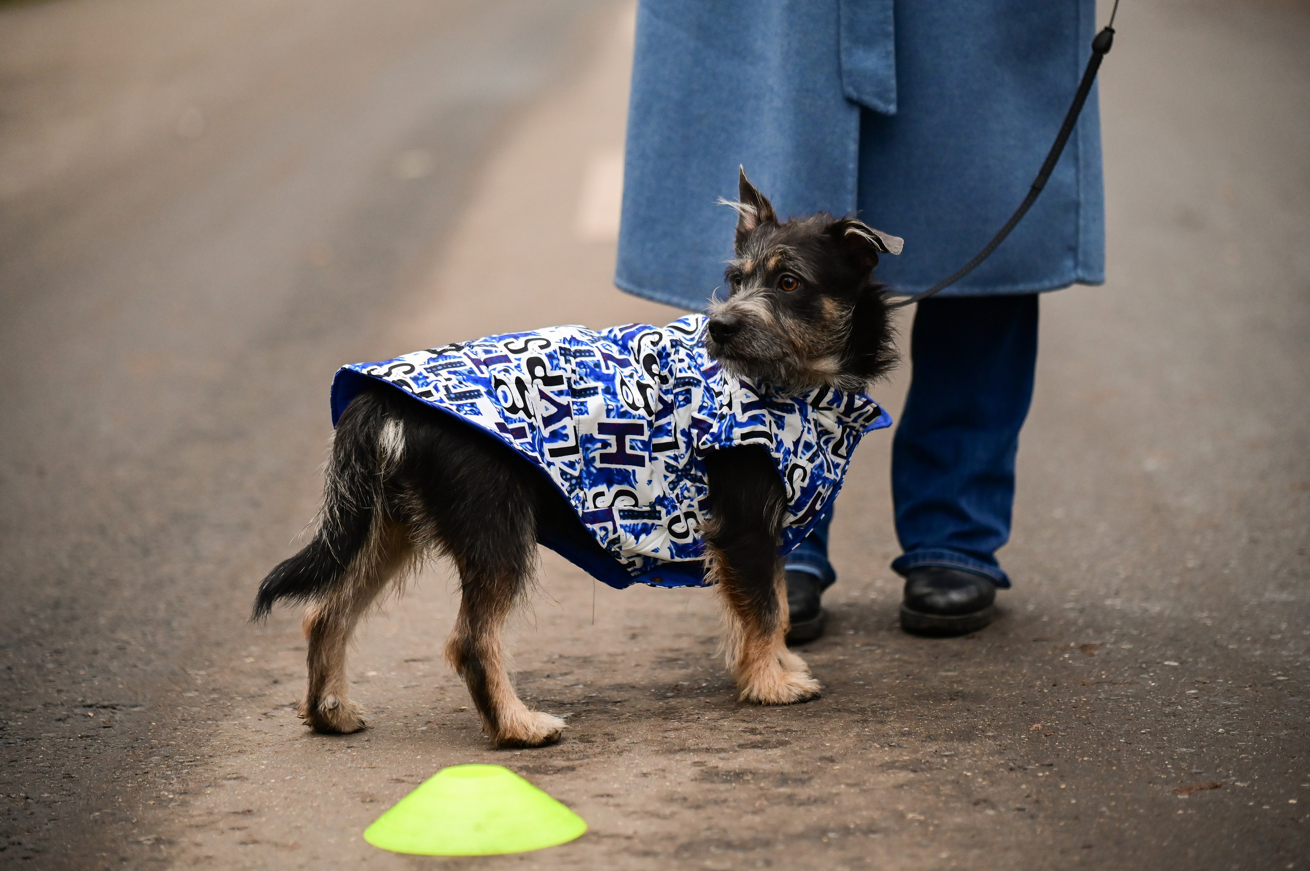 Sat9am5km Кузьминки (11.11.23). Фотограф | Ирина Гамзинова | Москва