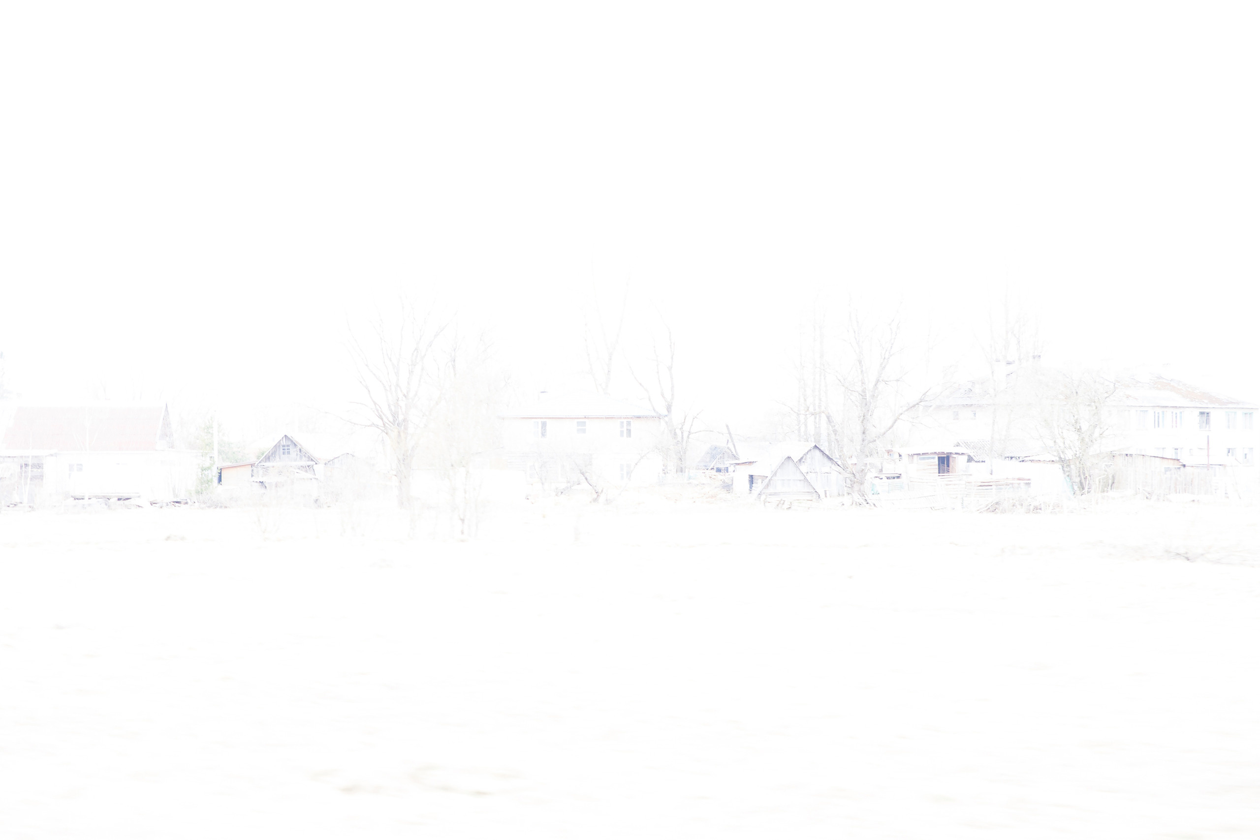 Тиражные отпечатки. Фотосессии в г. Пушкин Саша Бауэр | Фотопроекты