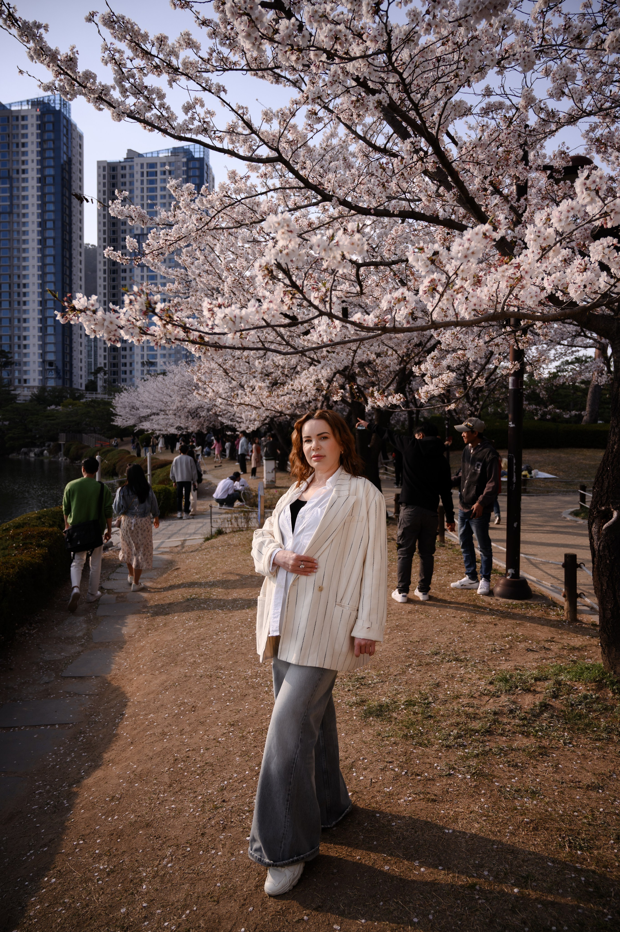 Ritratto femminile sotto i ciliegi in fiore a Busan Corea del Sud