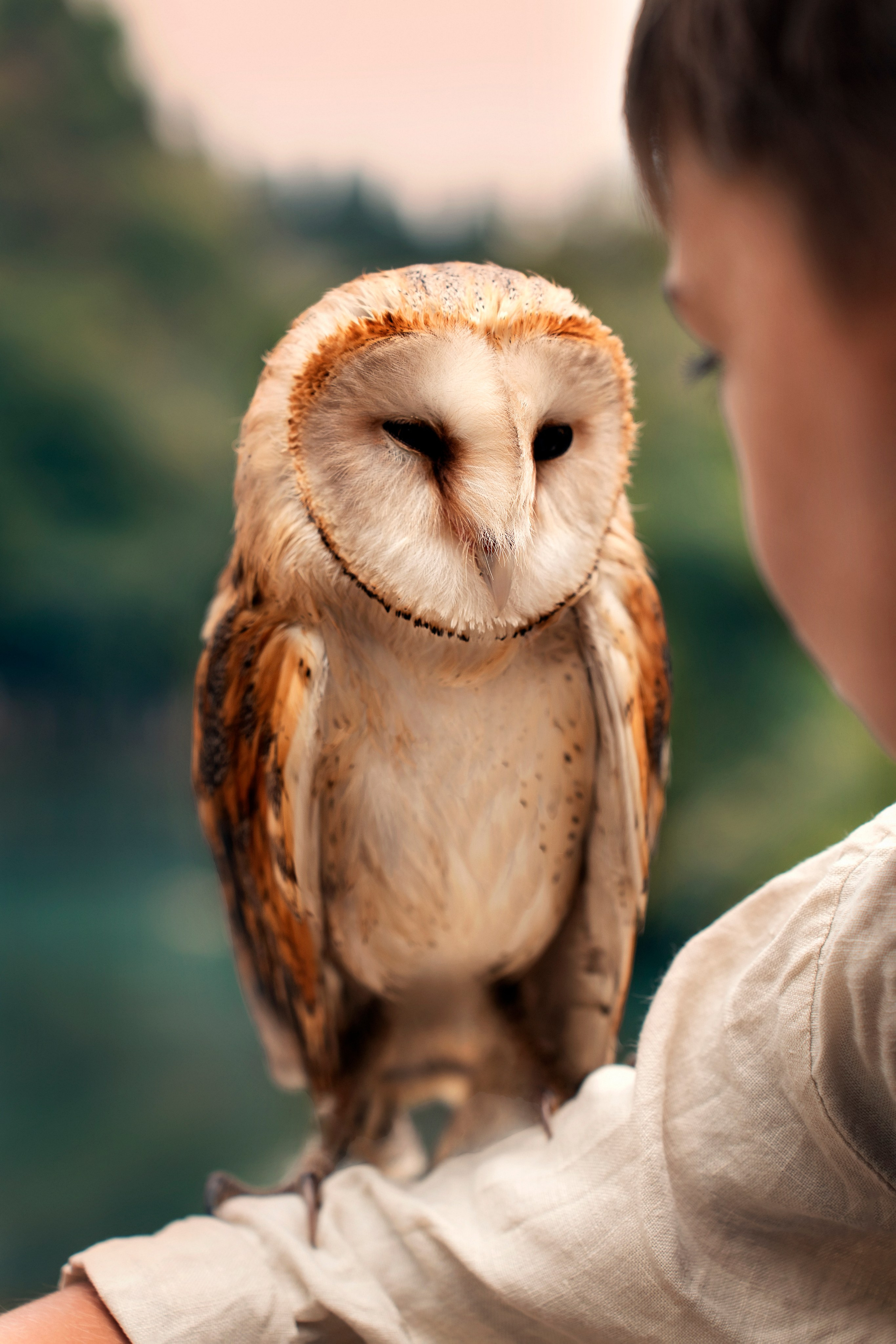 Фотограф Ольга Чувалдина Москва