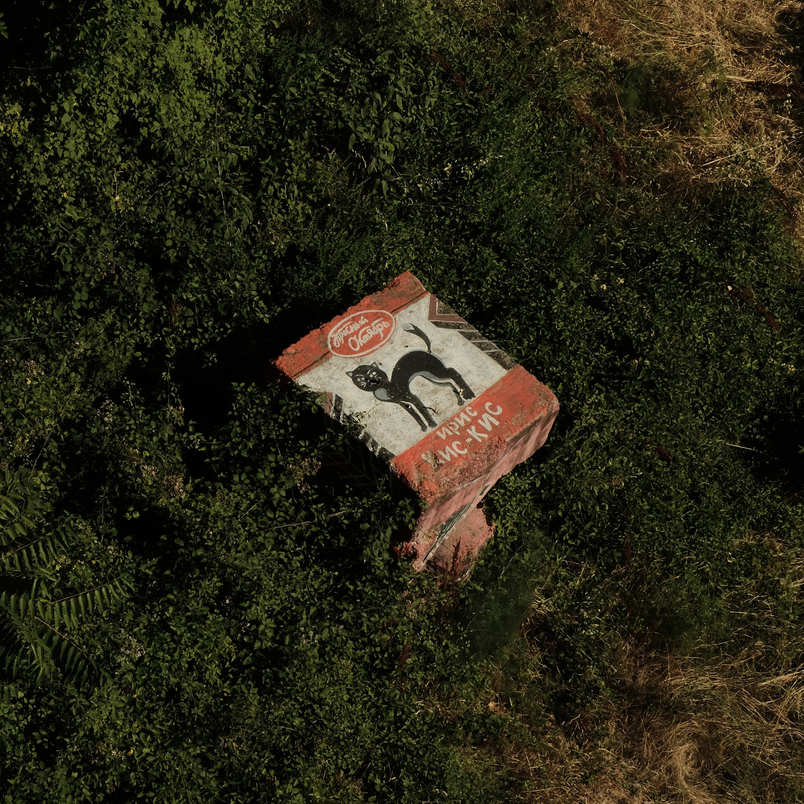 Montenegro. Creative travel photographer — Berg Daria