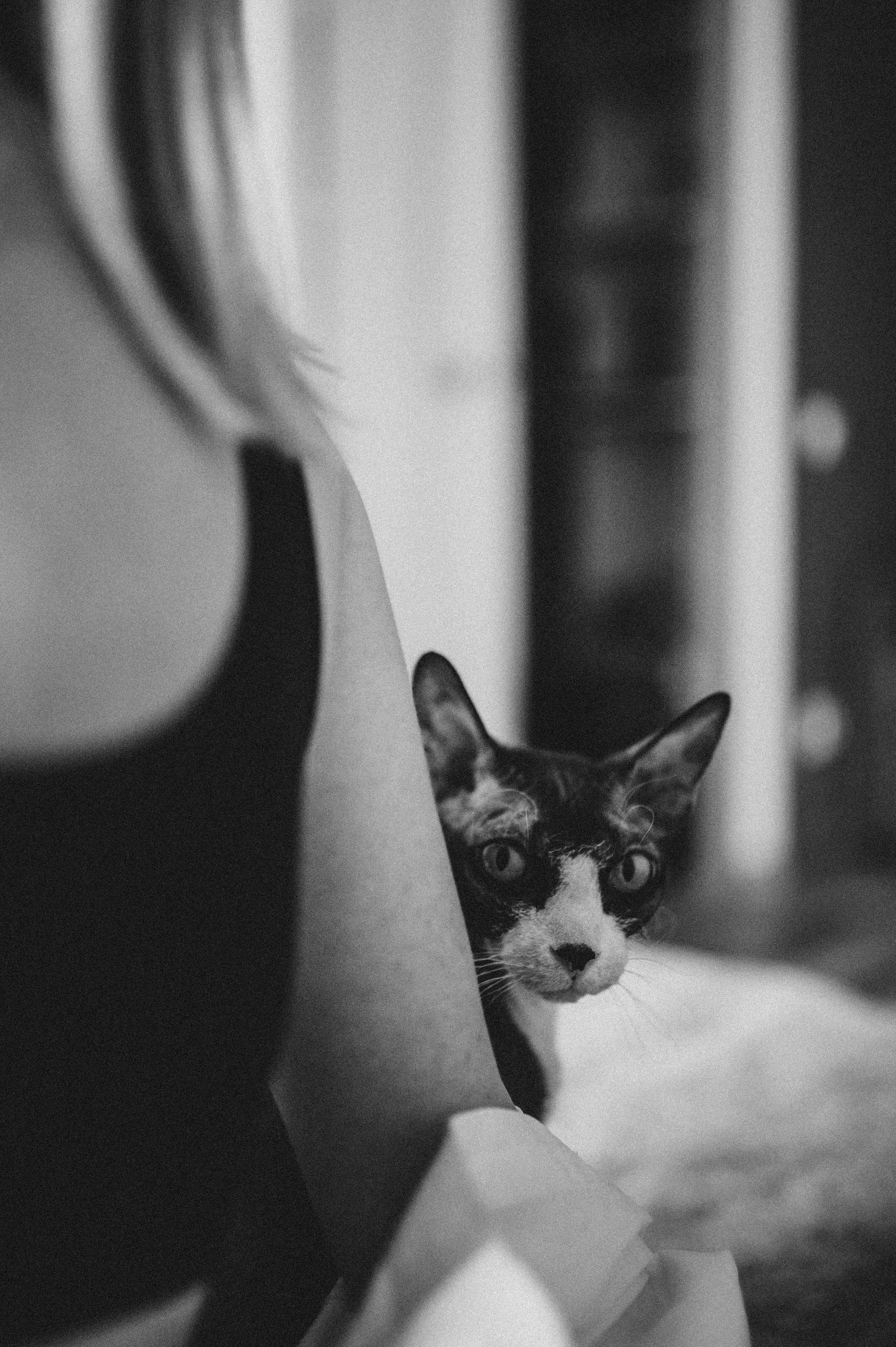 Индивидуальные и семейные съемки. Фотограф Нижний Новгород Екатерина Кукленкова