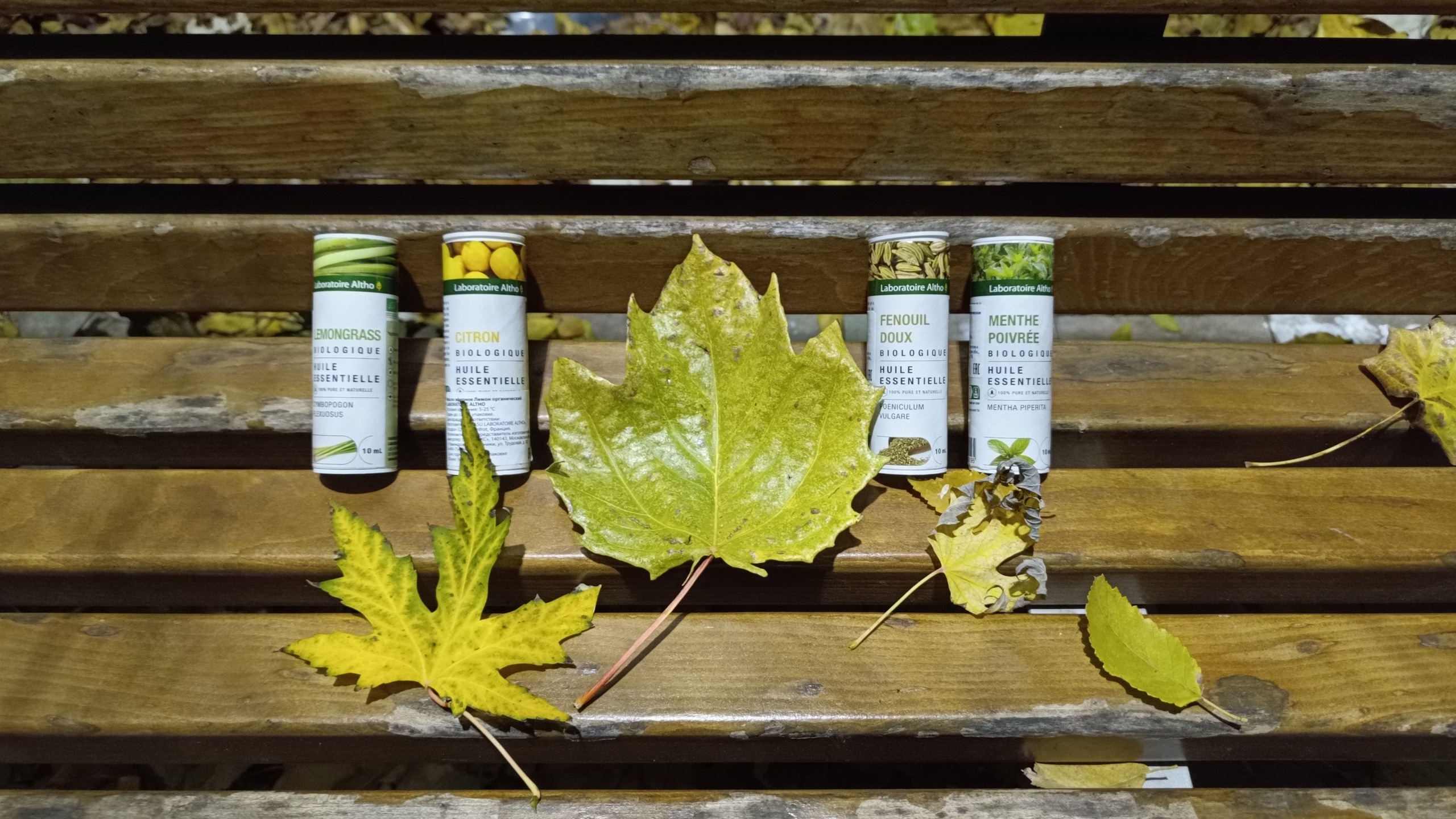 Ольфактотерапия. Марина Рыбкина — Глубинная психология