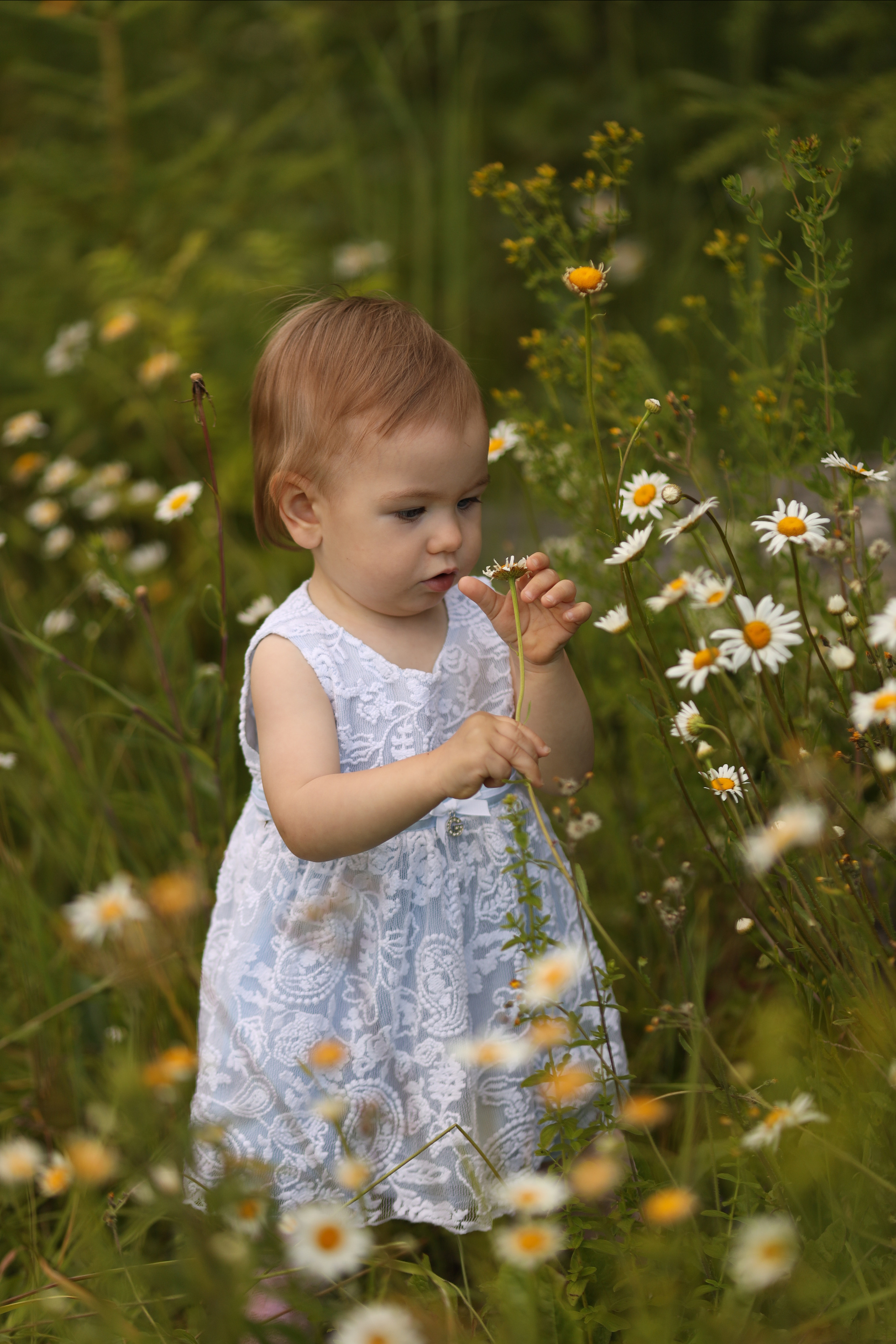 Саша, Тая и Мия. Детский и семейный фотограф Ирина Галкина, город Иваново
