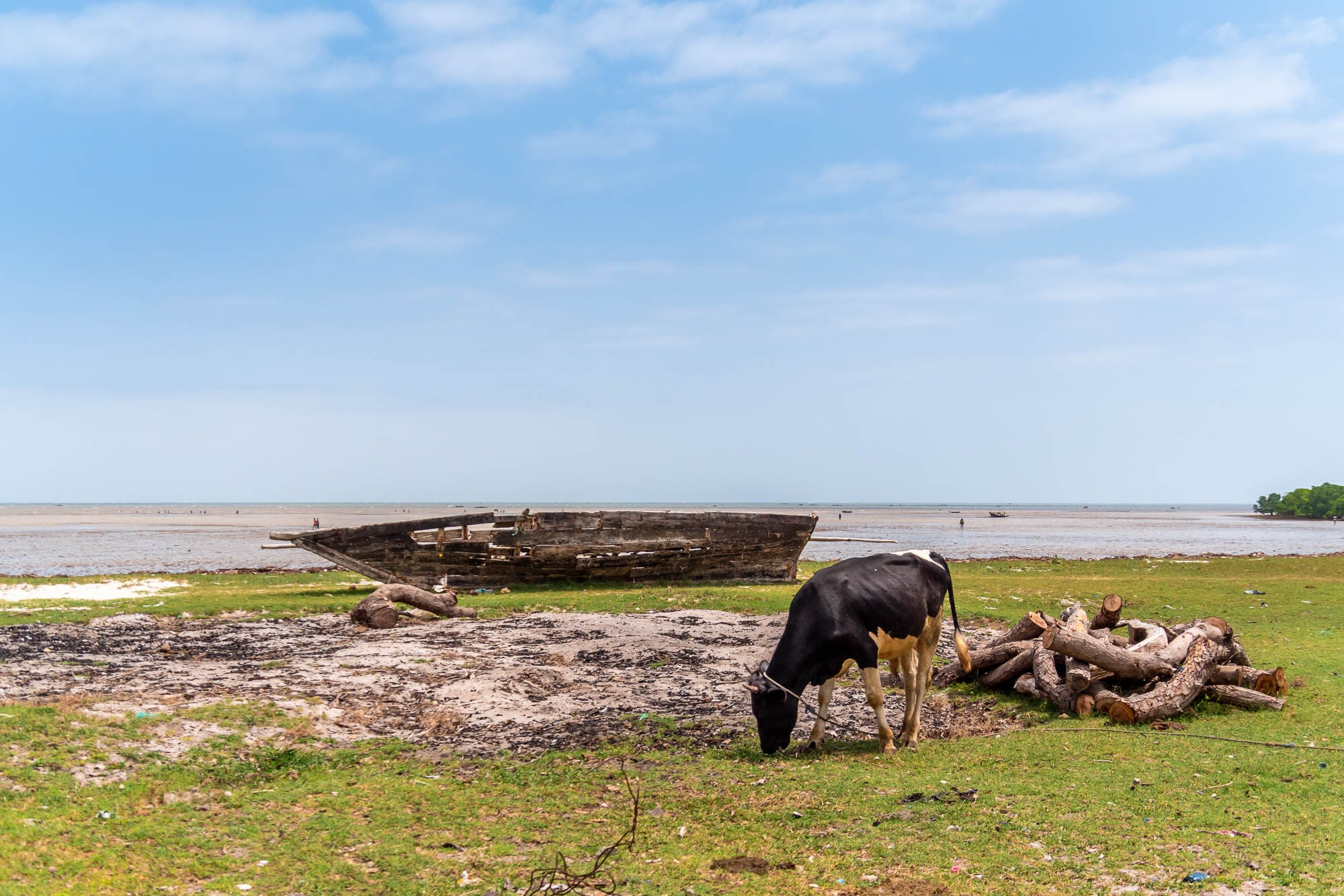 Танзания. Багамойо. Tanzania, Bagamoyo. Фотограф Алексей Скоробогатько