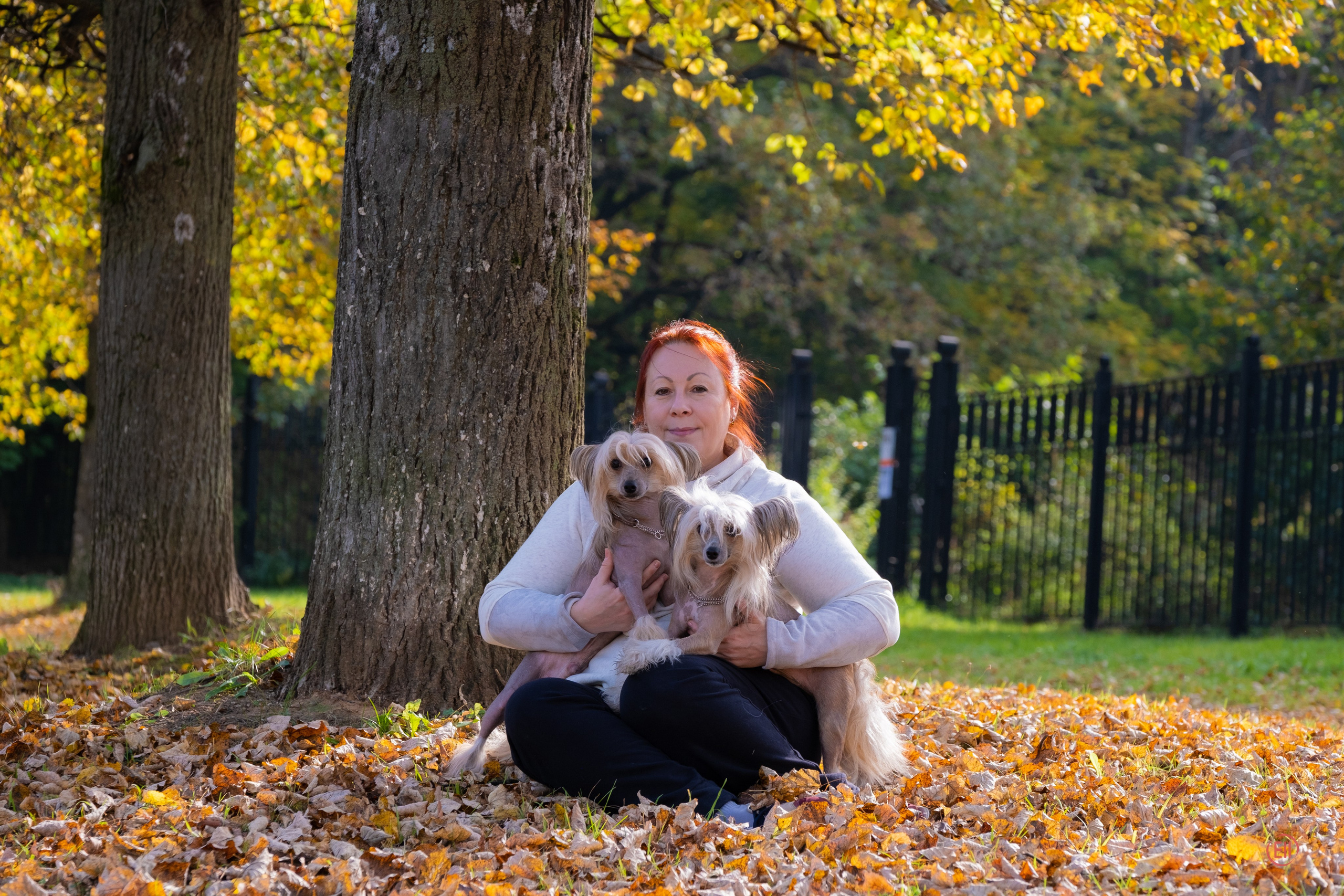 On a walk. Chinese Crested Dog Kennel Poale Ell
