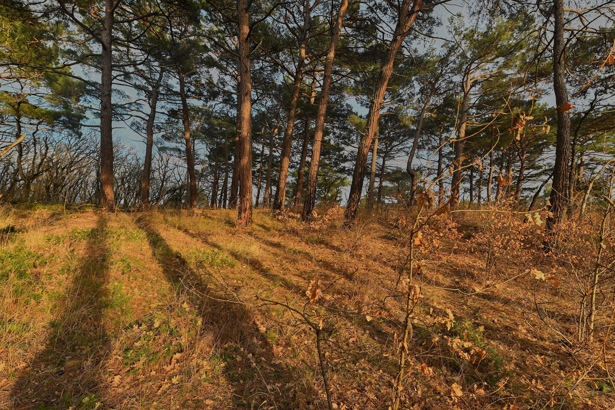 прогулка вокруг скалы Парус, поселок Прасковеевка