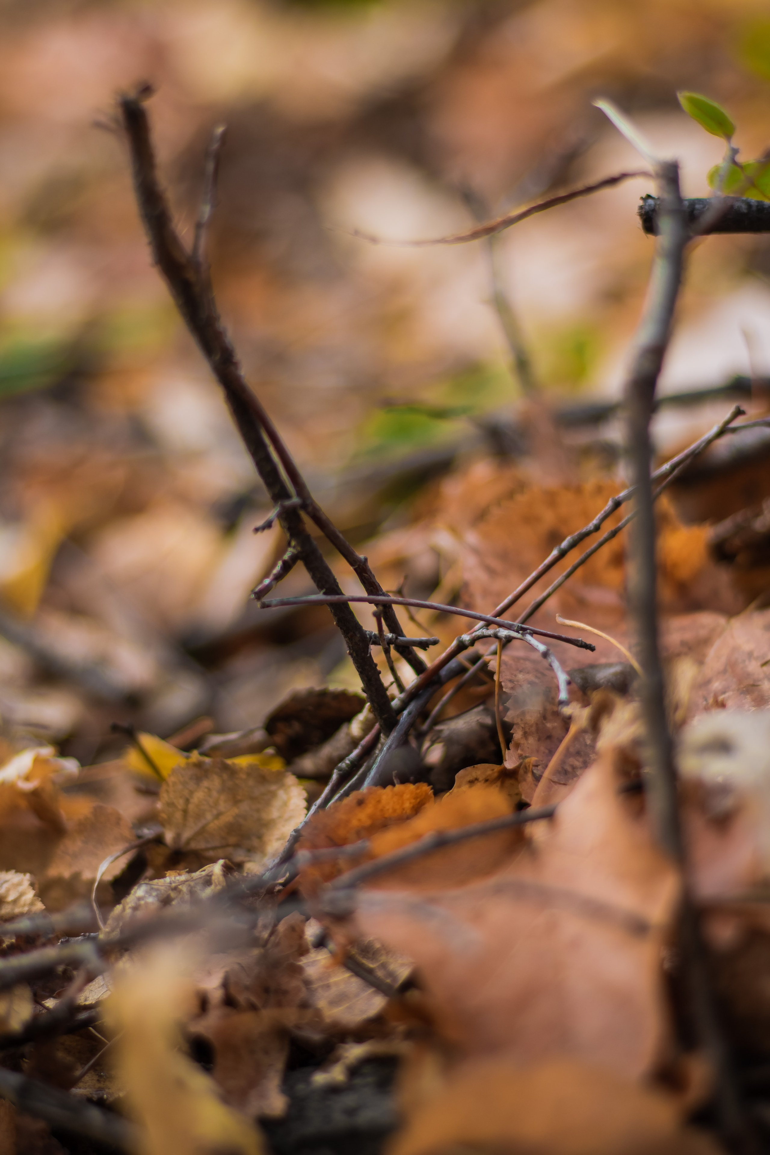 Скалы "Семь братьев". Сентябрь, 2023 год. Фотограф Переверзева Анна Екатеринбург