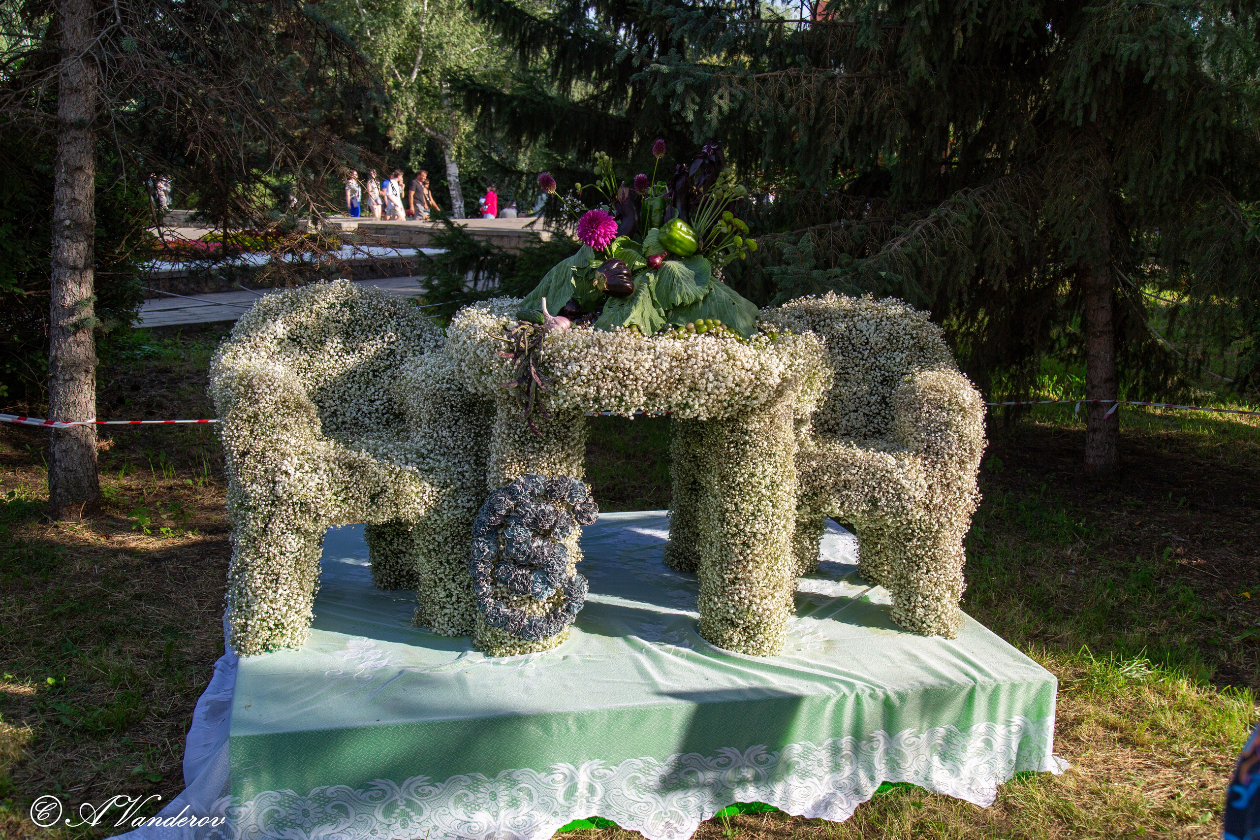 День города 03.08.2024. Фотограф Омск | Александр Вандеров