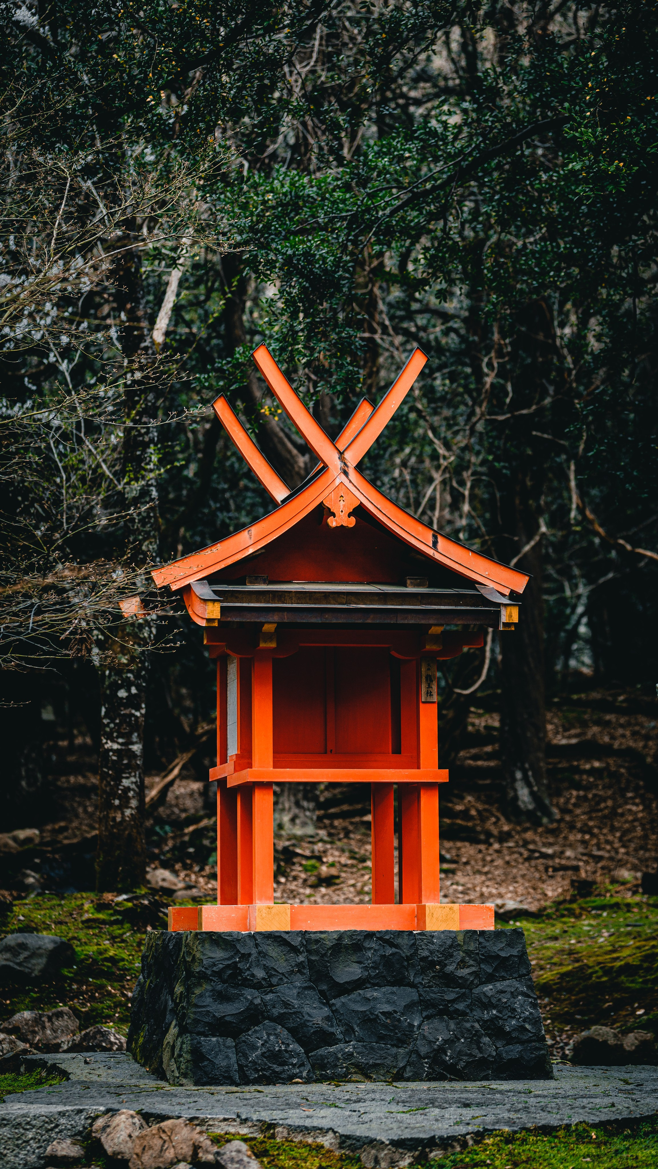 Невероятная Япония: Сезон Цветение Сакуры. Свадебный и Студийный фотограф из Казахстана Артем Орлянский