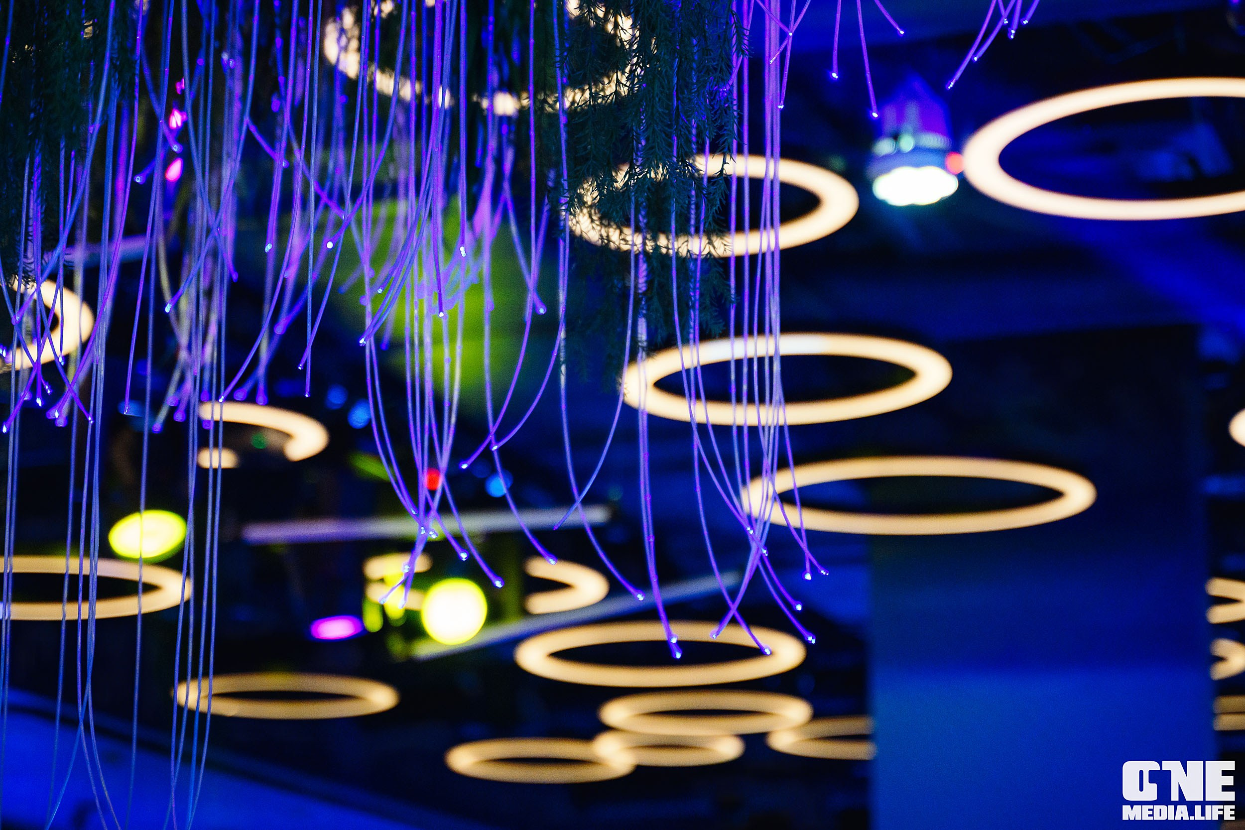 Фоторепортаж из ресторана Океан. One Media Life: фоторепортажи, фотоотчеты с мероприятий и заведений