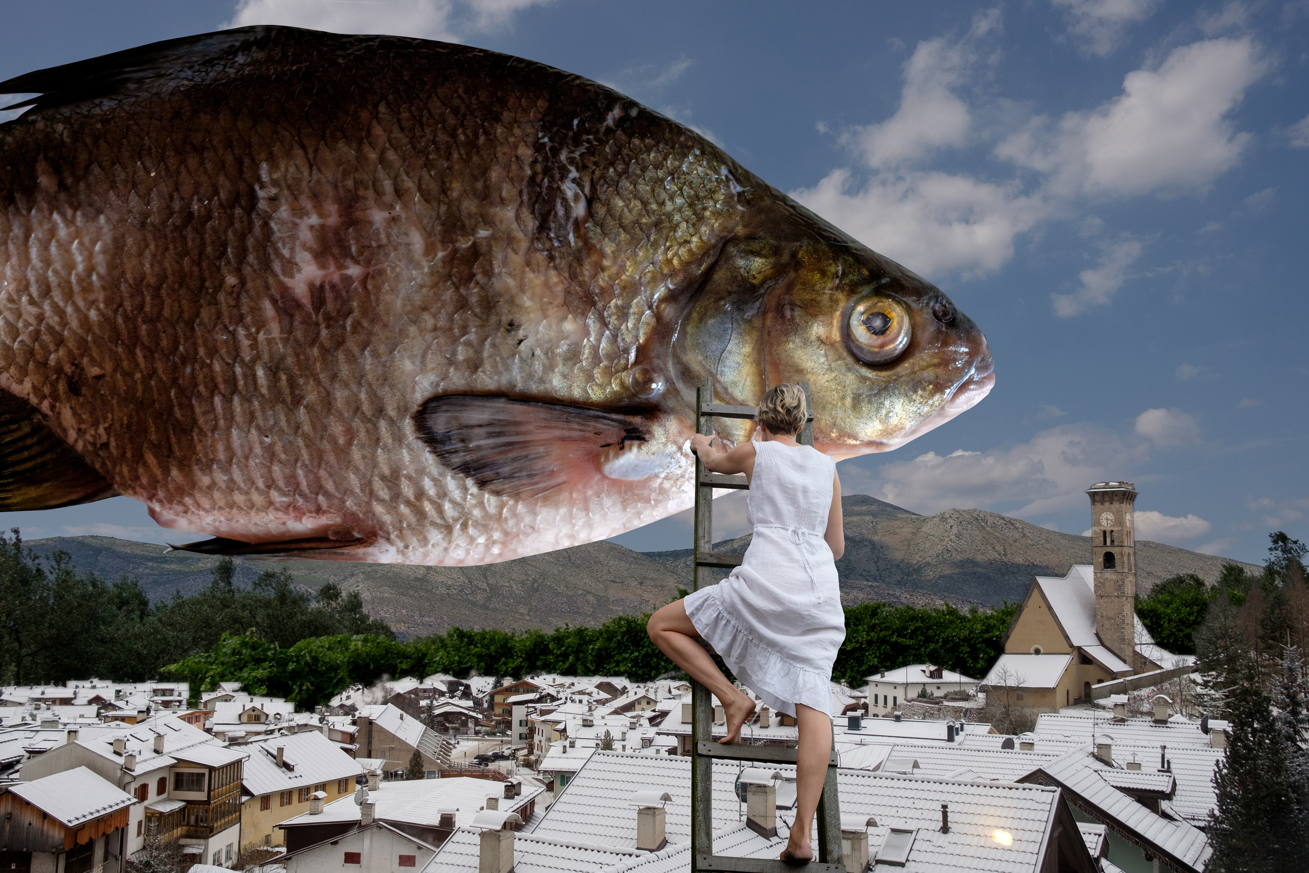 The waking dreams. Photographer Anna Nazarova