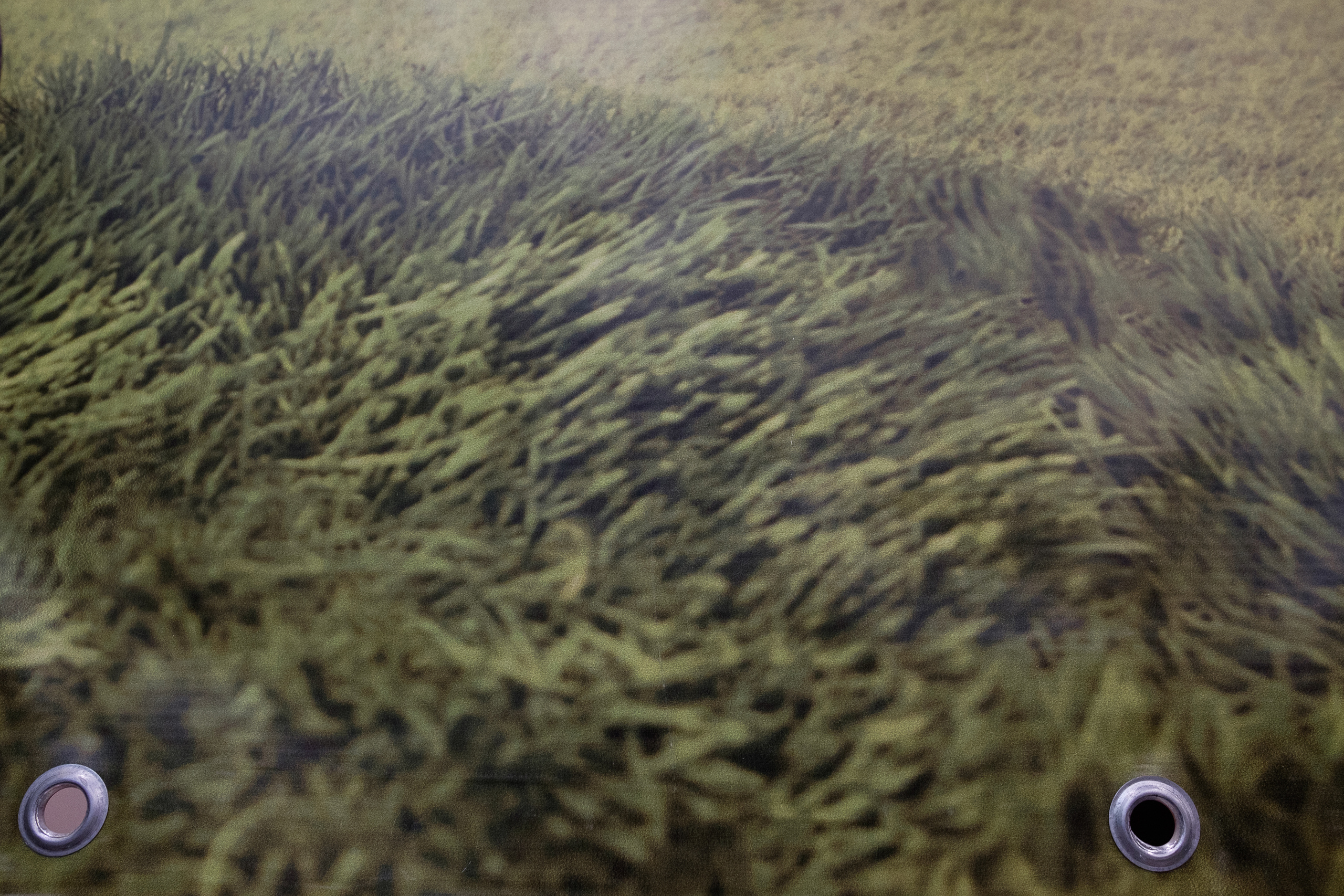 Будущее природы. Фотограф Анна Назарова