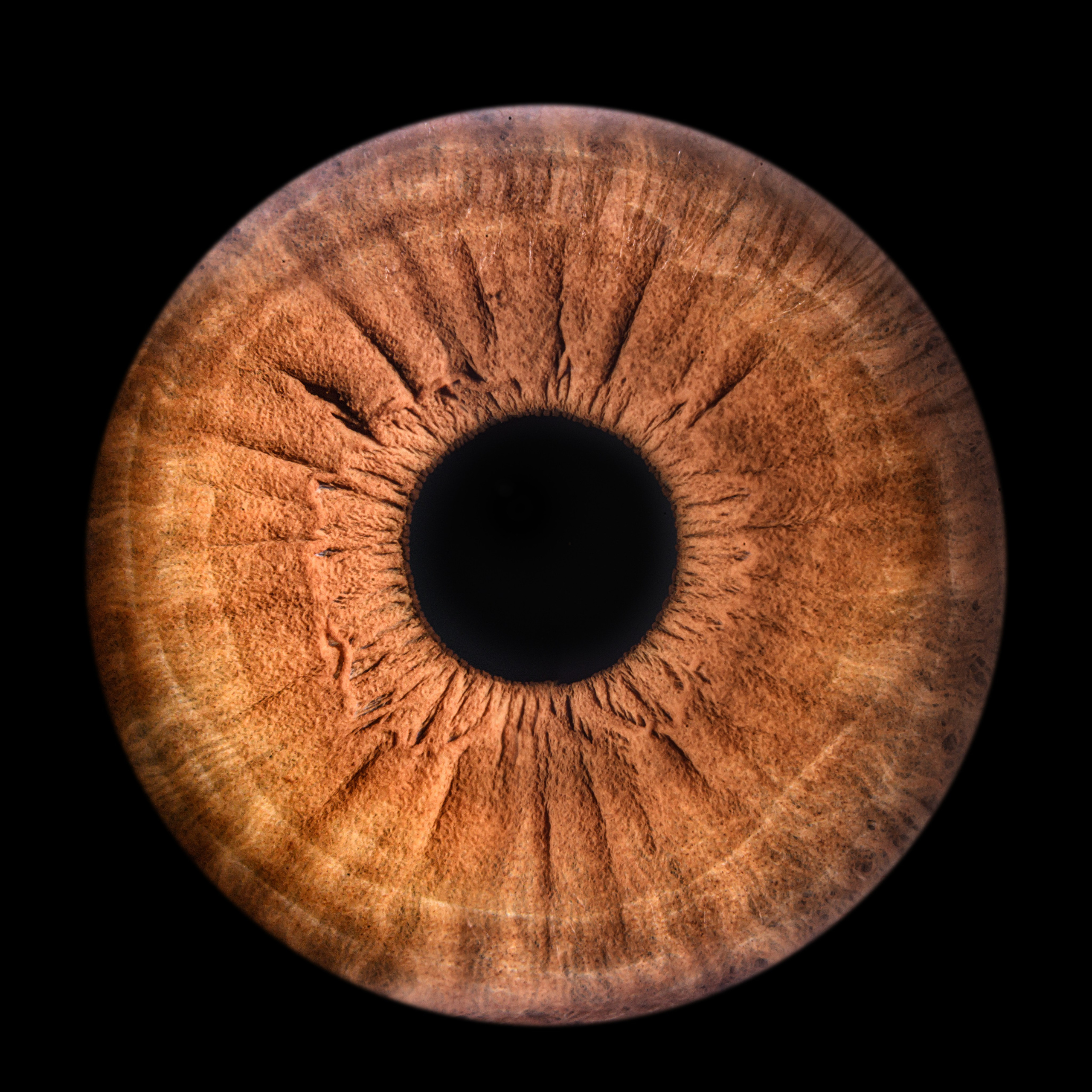 Лучшая фотография радужки глаза в Ростове. Профессиональная фотосъемка. Ростов-на-Дону