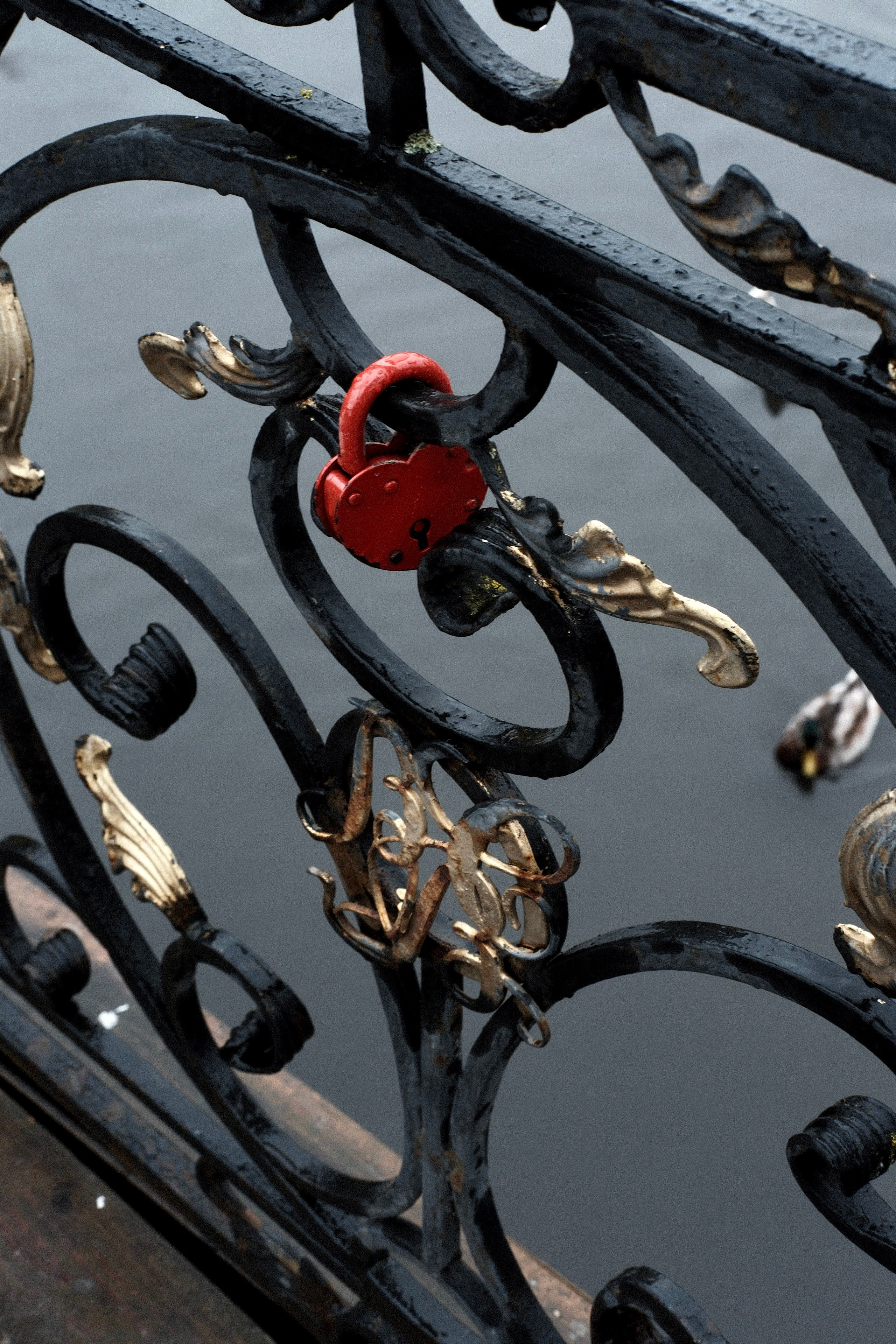 Сергиев Посад. Фотограф Маргана Лоция