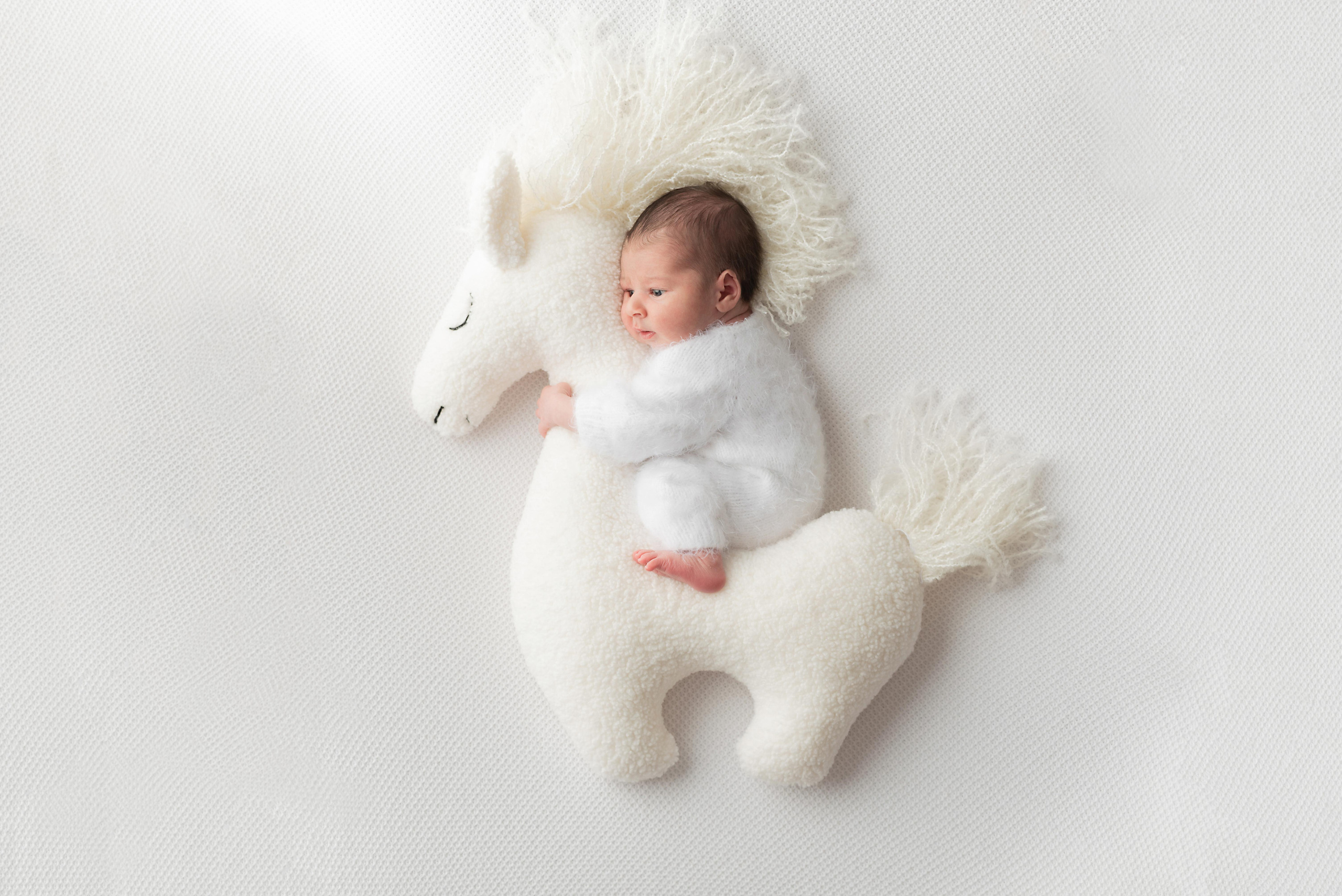 Фотосессия новорожденного для Малыша Амира пакет «КРЕПЫШ». Фотограф новорожденных в Нижневартовске Лара Курдюкова