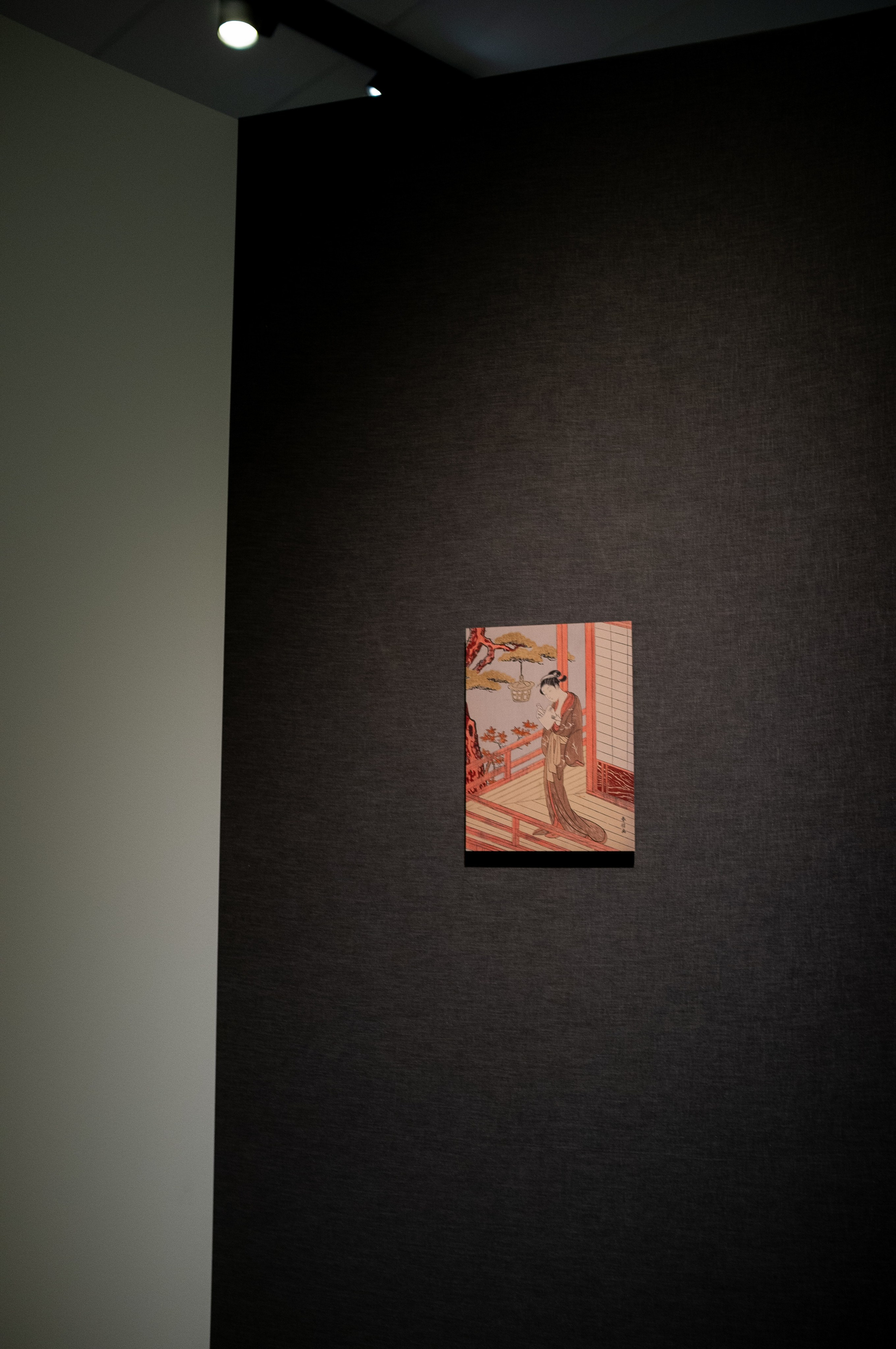 Изображая воздух. Русские мотивы и японизмы. Искусство фотографии. Мария Осокина