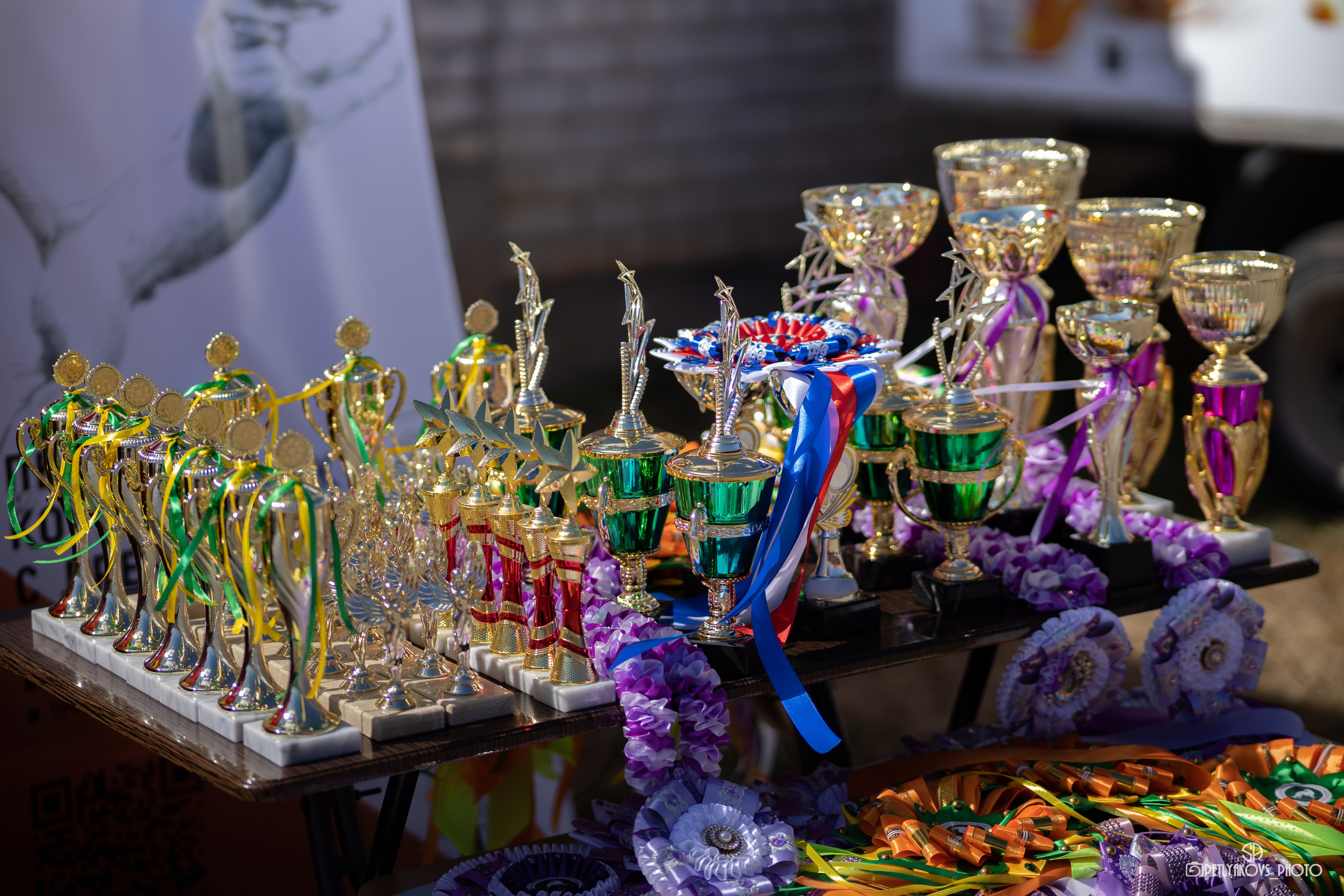 Репортаж с НАЦИОНАЛЬНАЯ ВЫСТАВКА СОБАК РАНГА САС — ЧФ. Фотограф, видеограф Пятигорск, Ставрополь, Ессентуки, Petlyakovs_photo