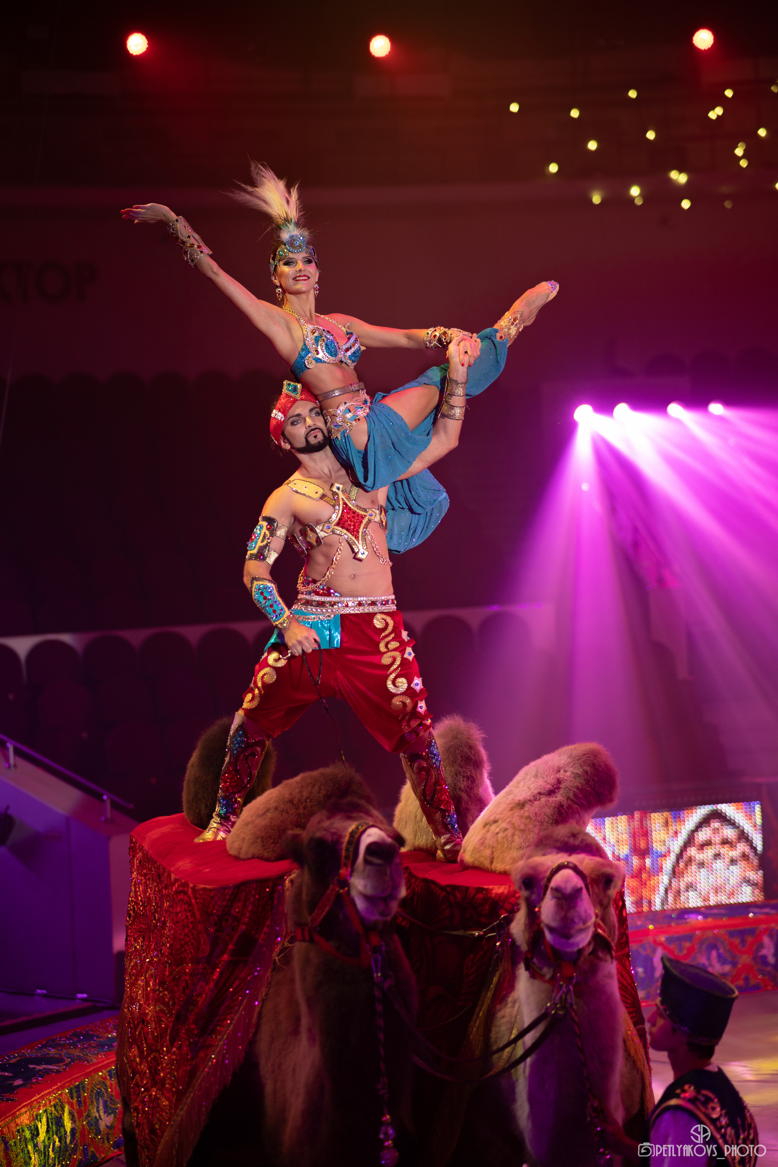 Пресс-конференция циркового шоу Гии Эрадзе «5 континентов». Фотограф, видеограф Пятигорск, Ставрополь, Ессентуки, Petlyakovs_photo