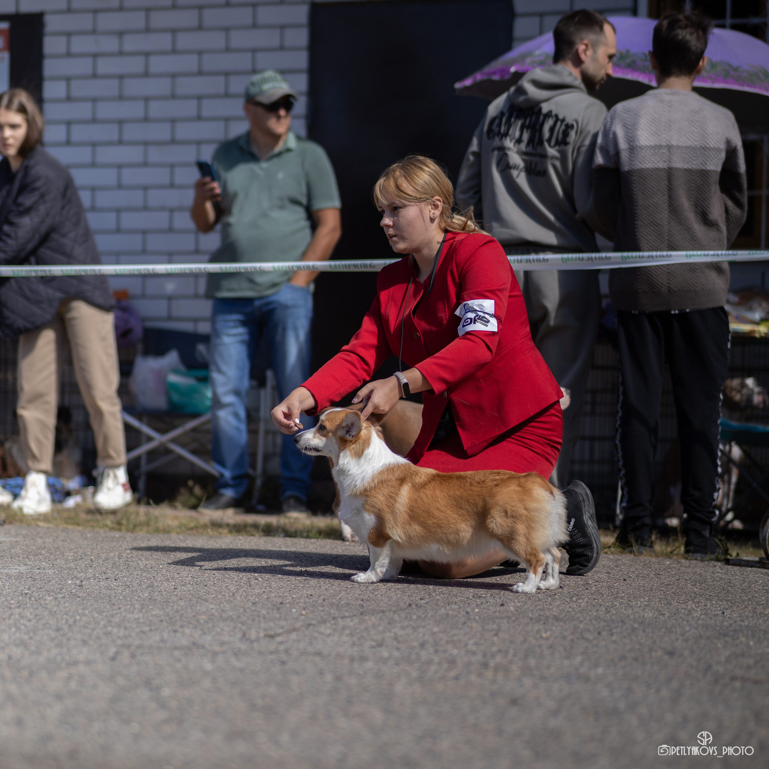 Репортаж с НАЦИОНАЛЬНАЯ ВЫСТАВКА СОБАК РАНГА САС — ЧФ. Фотограф, видеограф Пятигорск, Ставрополь, Ессентуки, Petlyakovs_photo