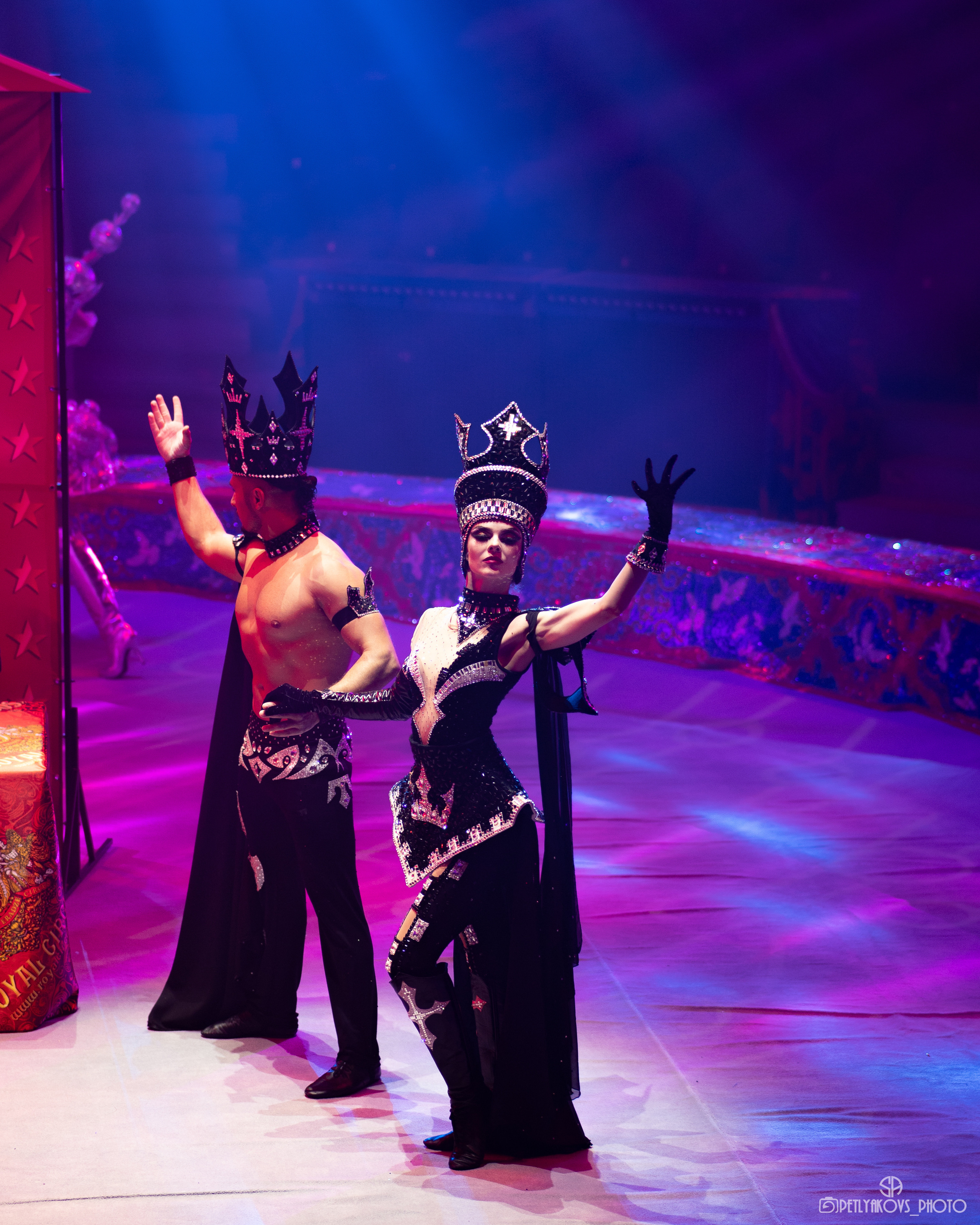 Пресс-конференция циркового шоу Гии Эрадзе «5 континентов». Фотограф, видеограф Пятигорск, Ставрополь, Ессентуки, Petlyakovs_photo