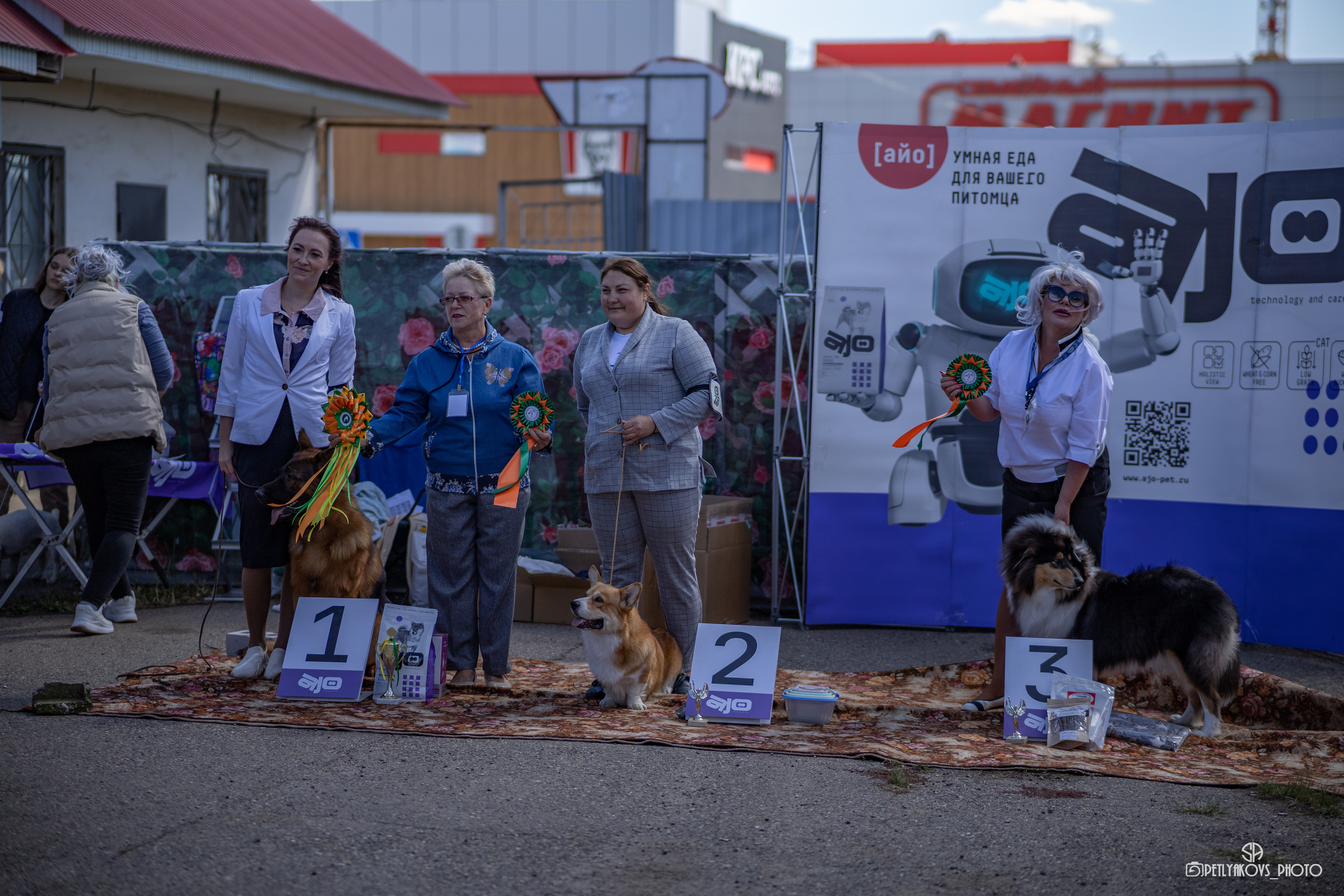Репортаж с НАЦИОНАЛЬНАЯ ВЫСТАВКА СОБАК РАНГА САС — ЧФ. Фотограф, видеограф Пятигорск, Ставрополь, Ессентуки, Petlyakovs_photo